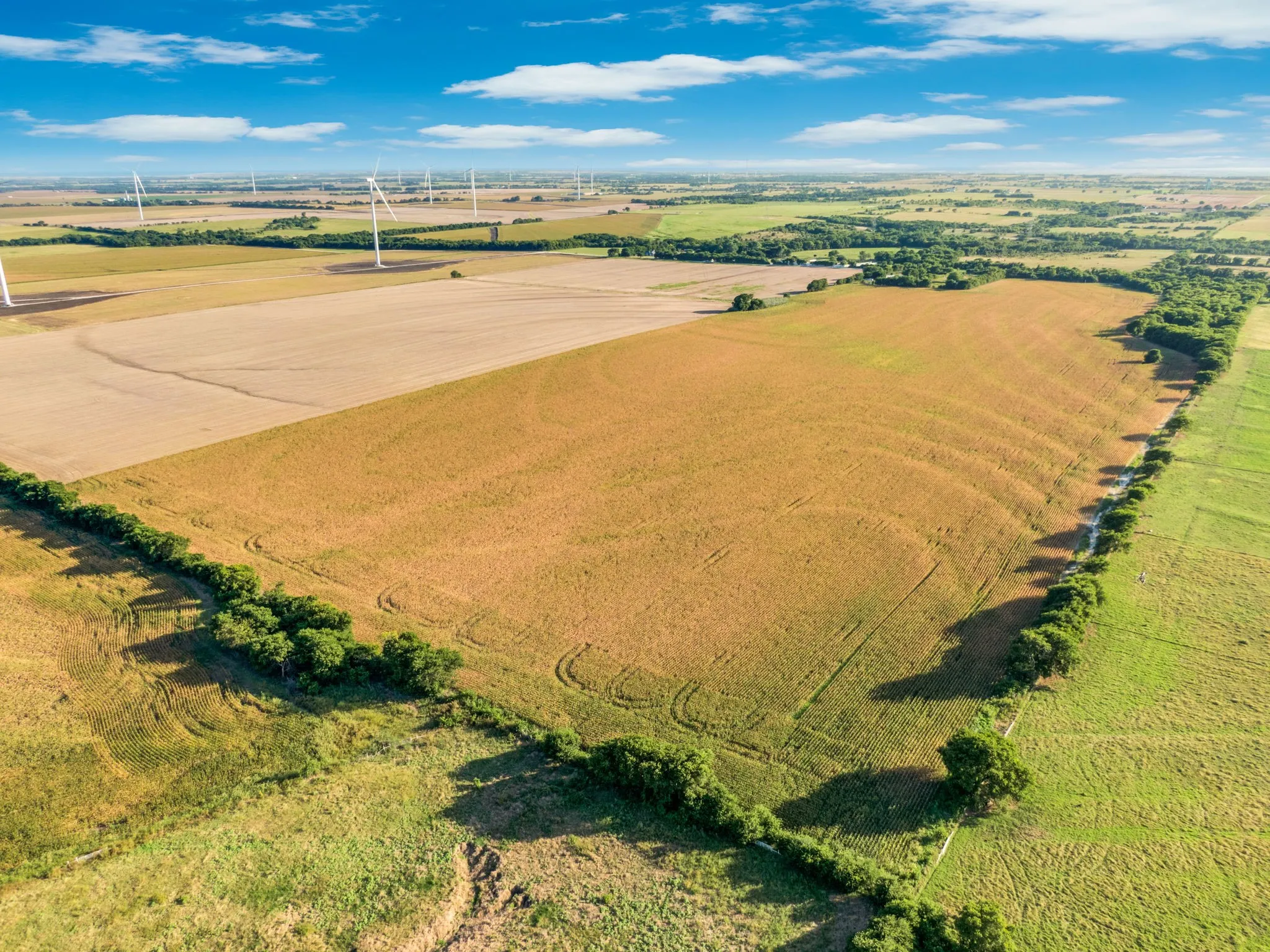 Unimproved Land For Sale in Hill County , 1188 Hcr 3138 N, Bynum, Texas 76631, 0, 0, Garage spaces, 0 Sqft, built in 0, mls#21313319, Real Estate Agent in Bynum, Homes For Sale in Hill county, Homes For Sale in Bynum, Realtor in Bynum Texas, Real Estate Brokerage Independent Realty Texas, Luminita Cordes Realtor