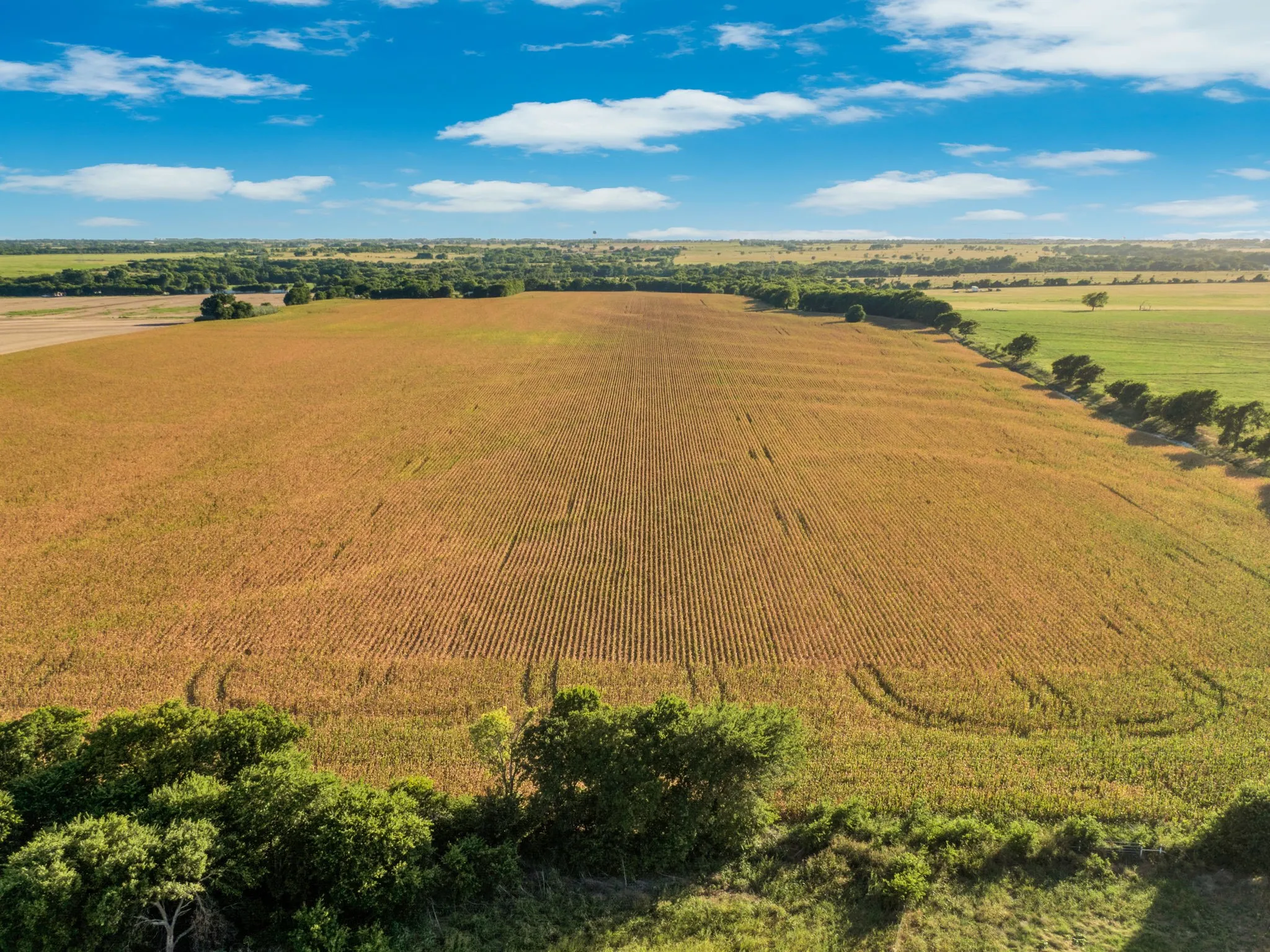 Unimproved Land For Sale in Hill County , 1188 Hcr 3138 N, Bynum, Texas 76631, 0, 0, Garage spaces, 0 Sqft, built in 0, mls#21313319, Real Estate Agent in Bynum, Homes For Sale in Hill county, Homes For Sale in Bynum, Realtor in Bynum Texas, Real Estate Brokerage Independent Realty Texas, Luminita Cordes Realtor