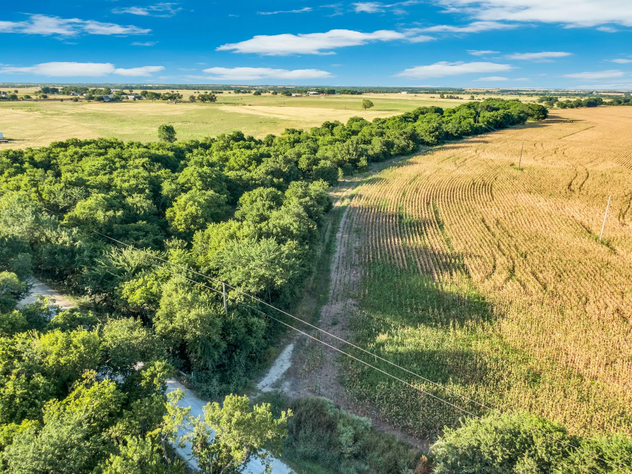 Unimproved Land For Sale in Hill County , 1188 Hcr 3138 N, Bynum, Texas 76631, 0, 0, Garage spaces, 0 Sqft, built in 0, mls#21313319, Real Estate Agent in Bynum, Homes For Sale in Hill county, Homes For Sale in Bynum, Realtor in Bynum Texas, Real Estate Brokerage Independent Realty Texas, Luminita Cordes Realtor