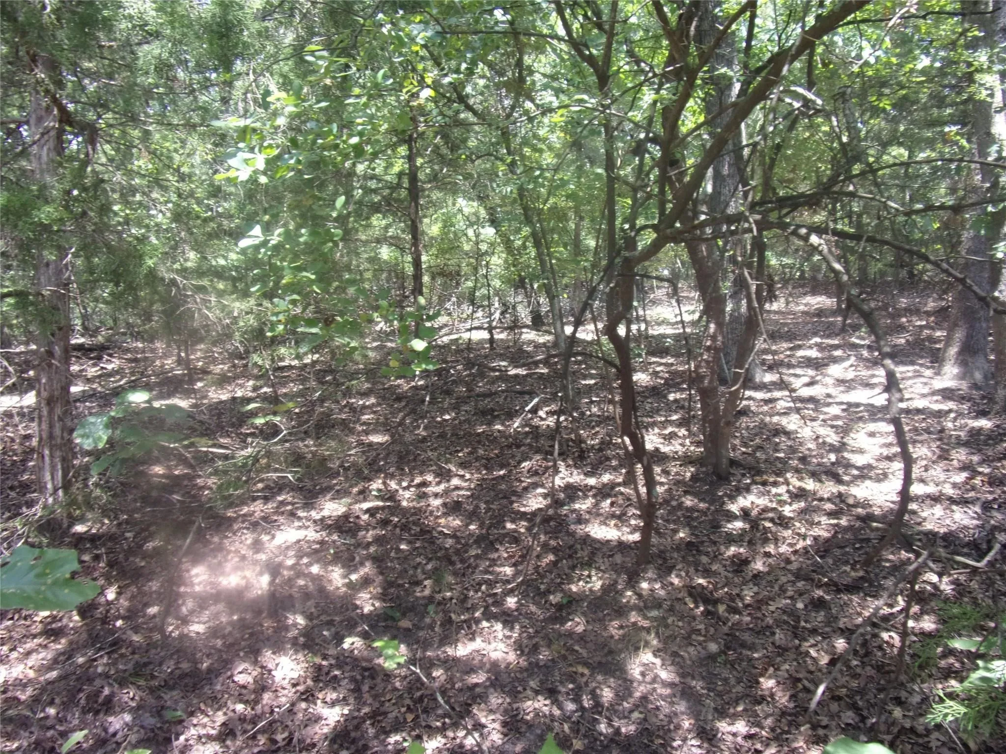 Unimproved Land For Sale in Van Zandt County , 0000 Wildwood, Murchison, Texas 75778, 0, 0, Garage spaces, 0 Sqft, built in 0, Price $16,000, mls#21329717, Real Estate Agent in Murchison, Homes For Sale in Van Zandt county, Homes For Sale in Murchison, Realtor in Murchison Texas, Real Estate Brokerage Independent Realty Texas, Luminita Cordes Realtor