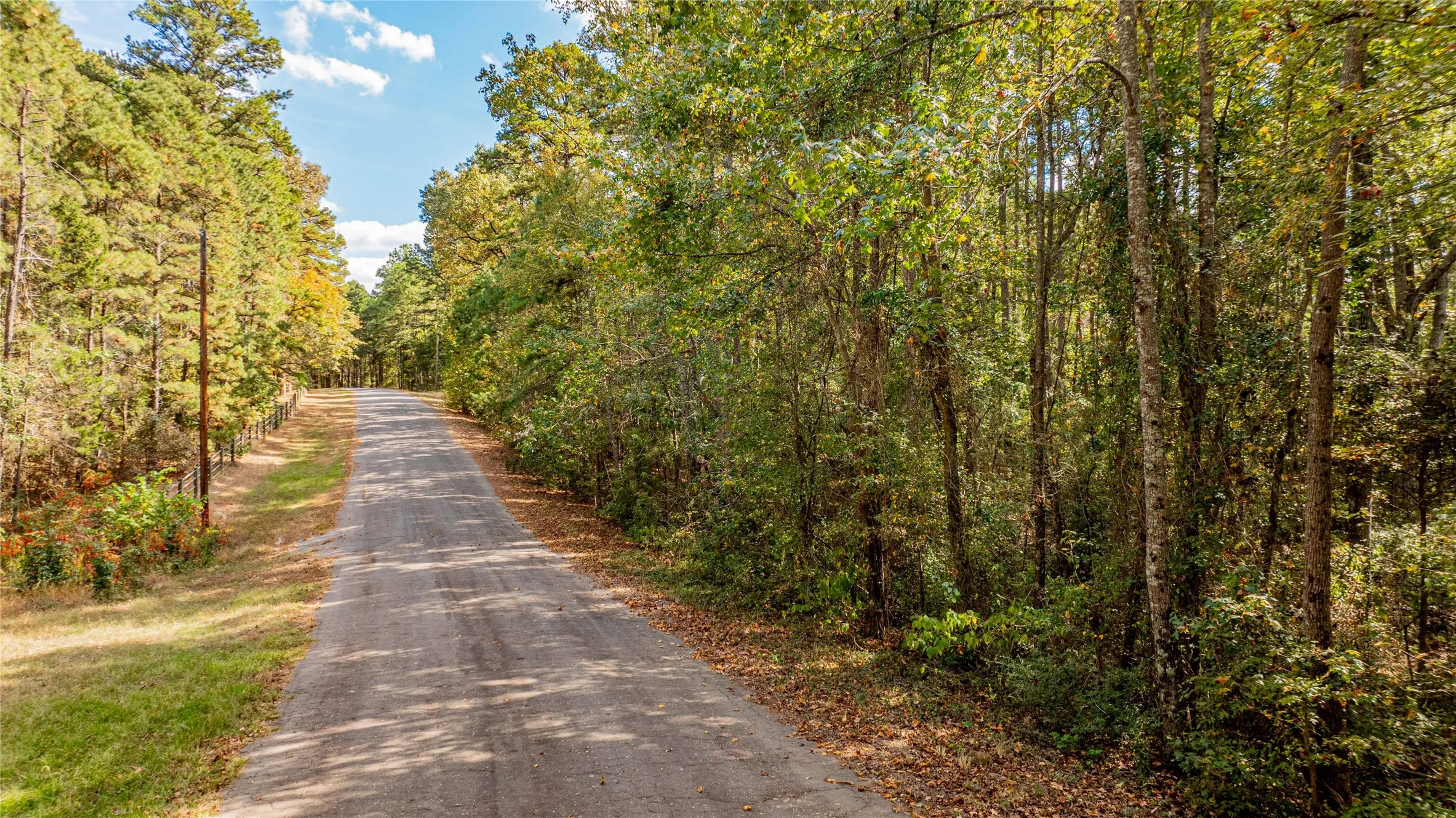 Unimproved Land For Sale in Wood County , TBD County Road 4558, Winnsboro, Texas 75494, 0, 0, Garage spaces, 0 Sqft, built in 0, Price $125,000, mls#21329737, Real Estate Agent in Winnsboro, Homes For Sale in Wood county, Homes For Sale in Winnsboro, Realtor in Winnsboro Texas, Real Estate Brokerage Independent Realty Texas, Luminita Cordes Realtor