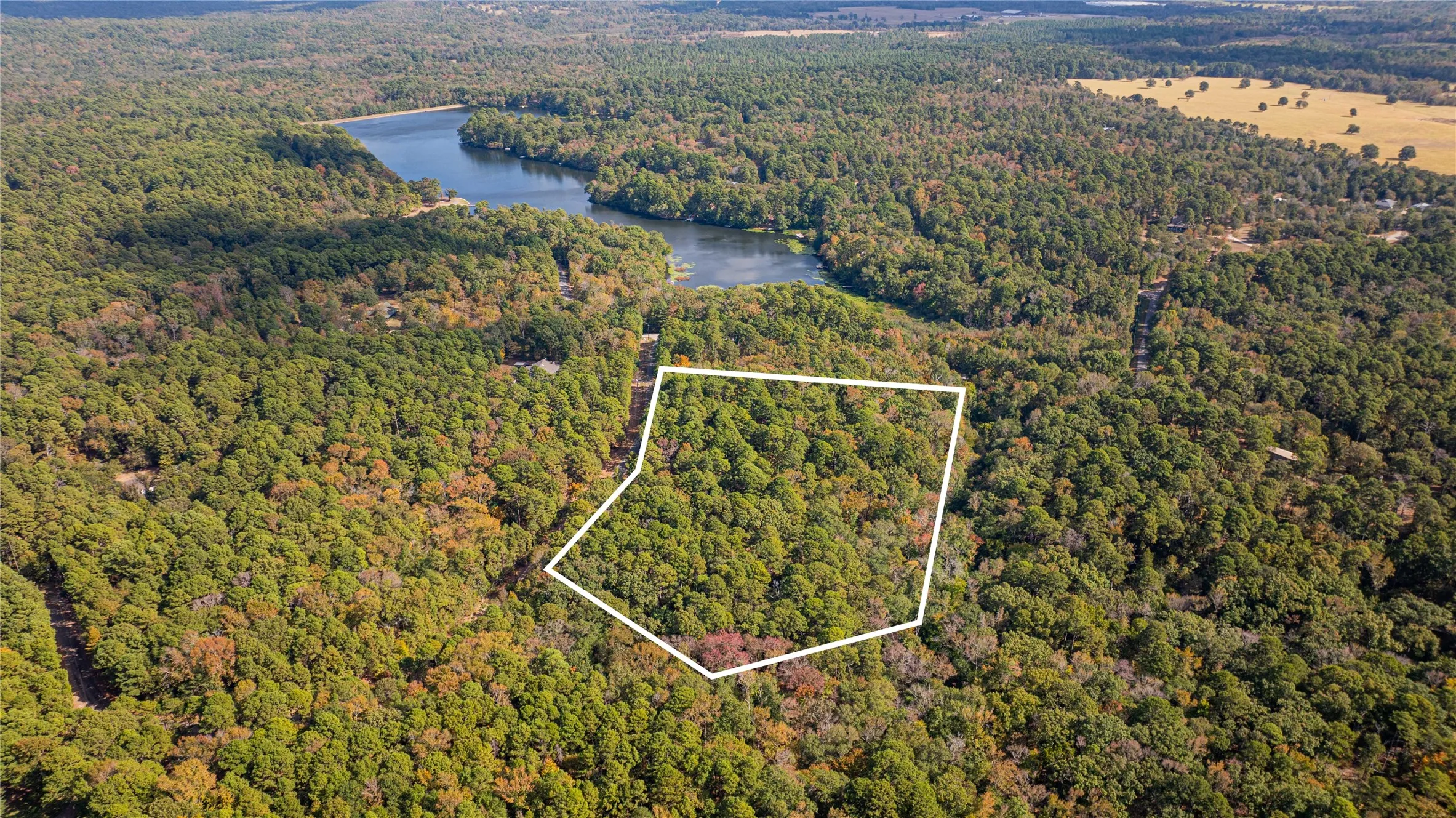 Unimproved Land For Sale in Wood County , TBD County Road 4558, Winnsboro, Texas 75494, 0, 0, Garage spaces, 0 Sqft, built in 0, Price $125,000, mls#21329737, Real Estate Agent in Winnsboro, Homes For Sale in Wood county, Homes For Sale in Winnsboro, Realtor in Winnsboro Texas, Real Estate Brokerage Independent Realty Texas, Luminita Cordes Realtor