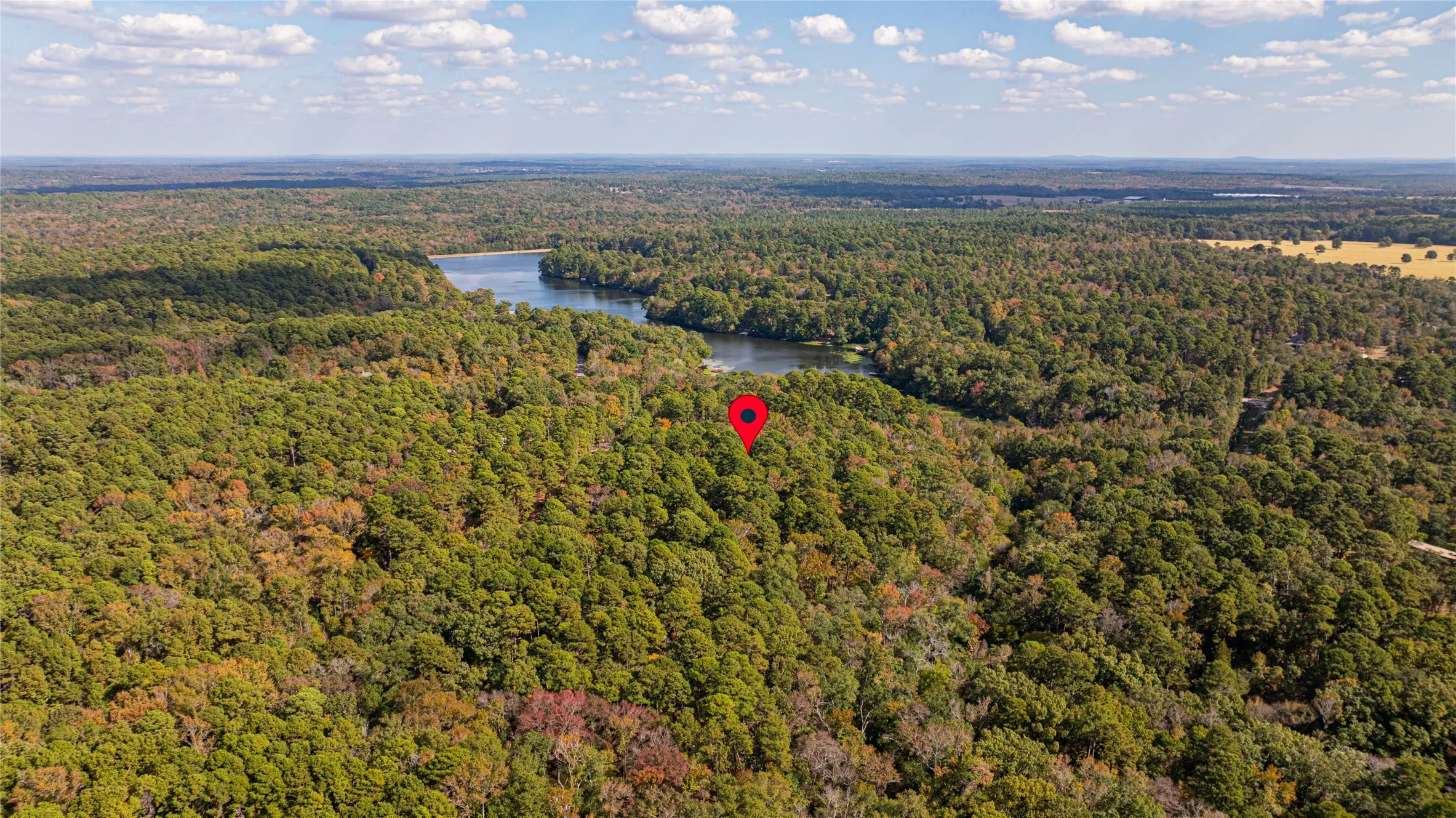 Unimproved Land For Sale in Wood County , TBD County Road 4558, Winnsboro, Texas 75494, 0, 0, Garage spaces, 0 Sqft, built in 0, Price $125,000, mls#21329737, Real Estate Agent in Winnsboro, Homes For Sale in Wood county, Homes For Sale in Winnsboro, Realtor in Winnsboro Texas, Real Estate Brokerage Independent Realty Texas, Luminita Cordes Realtor