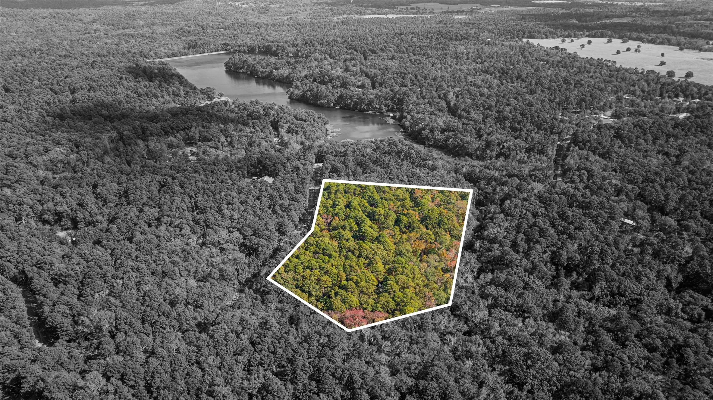 Unimproved Land For Sale in Wood County , TBD County Road 4558, Winnsboro, Texas 75494, 0, 0, Garage spaces, 0 Sqft, built in 0, Price $125,000, mls#21329737, Real Estate Agent in Winnsboro, Homes For Sale in Wood county, Homes For Sale in Winnsboro, Realtor in Winnsboro Texas, Real Estate Brokerage Independent Realty Texas, Luminita Cordes Realtor
