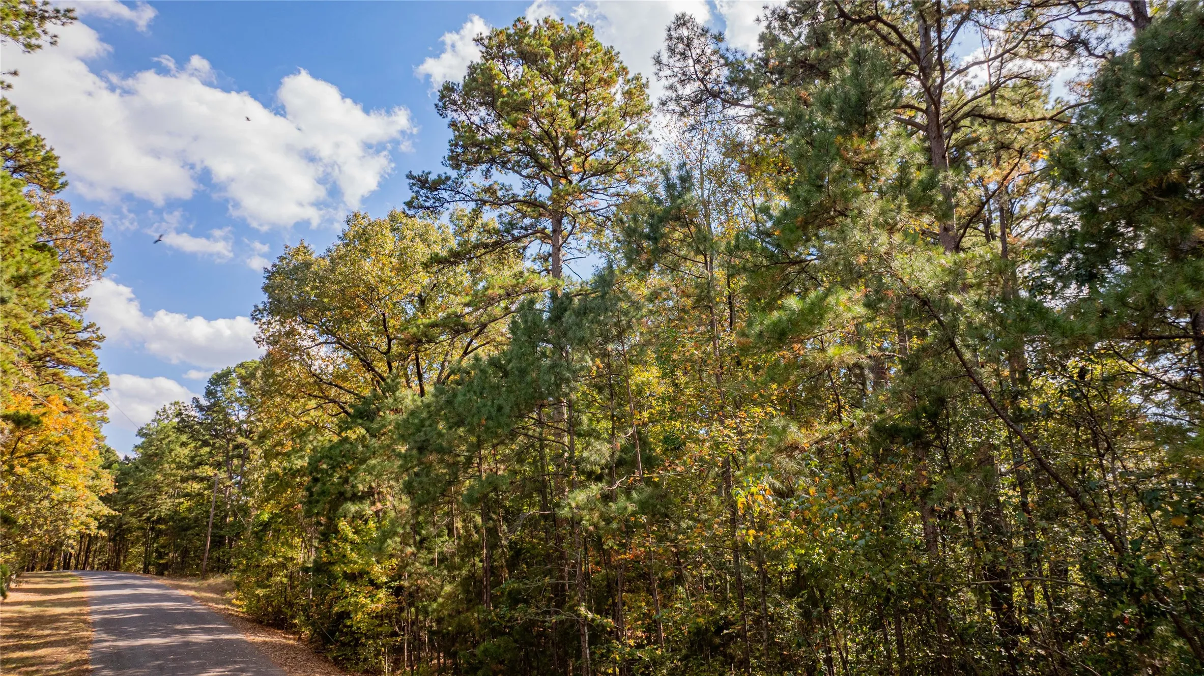 Unimproved Land For Sale in Wood County , TBD County Road 4558, Winnsboro, Texas 75494, 0, 0, Garage spaces, 0 Sqft, built in 0, Price $125,000, mls#21329737, Real Estate Agent in Winnsboro, Homes For Sale in Wood county, Homes For Sale in Winnsboro, Realtor in Winnsboro Texas, Real Estate Brokerage Independent Realty Texas, Luminita Cordes Realtor