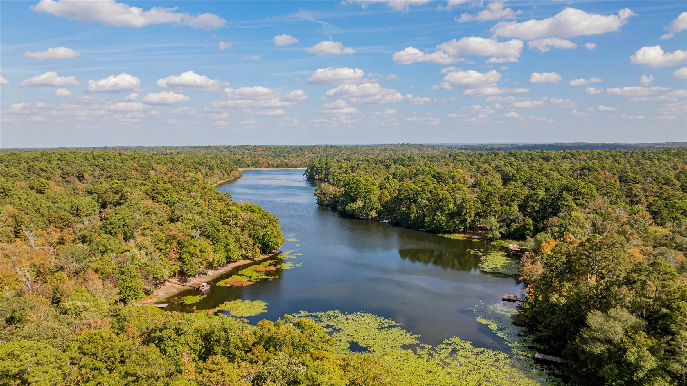Unimproved Land For Sale in Wood County , TBD County Road 4558, Winnsboro, Texas 75494, 0, 0, Garage spaces, 0 Sqft, built in 0, Price $125,000, mls#21329737, Real Estate Agent in Winnsboro, Homes For Sale in Wood county, Homes For Sale in Winnsboro, Realtor in Winnsboro Texas, Real Estate Brokerage Independent Realty Texas, Luminita Cordes Realtor