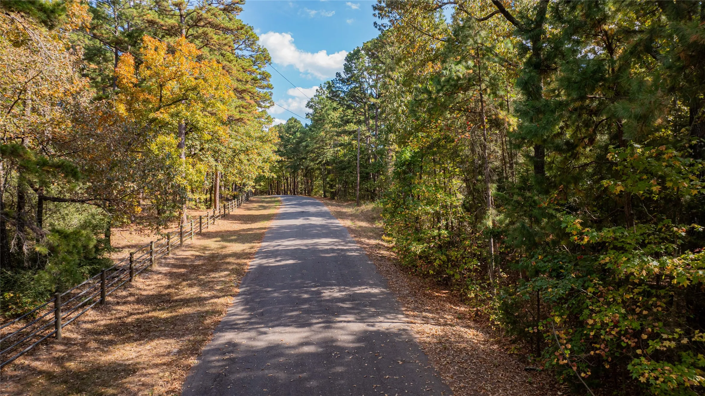 Unimproved Land For Sale in Wood County , TBD County Road 4558, Winnsboro, Texas 75494, 0, 0, Garage spaces, 0 Sqft, built in 0, Price $125,000, mls#21329737, Real Estate Agent in Winnsboro, Homes For Sale in Wood county, Homes For Sale in Winnsboro, Realtor in Winnsboro Texas, Real Estate Brokerage Independent Realty Texas, Luminita Cordes Realtor