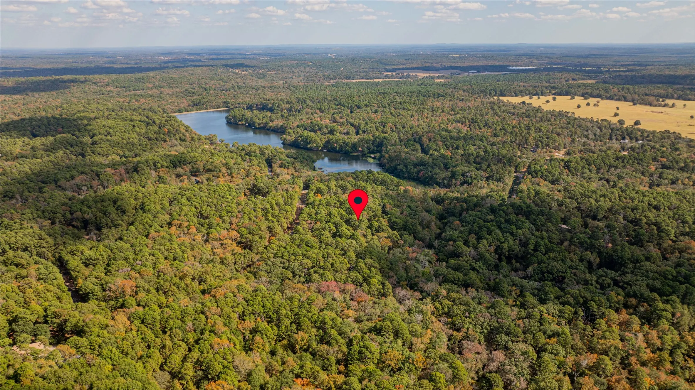 Unimproved Land For Sale in Wood County , TBD County Road 4558, Winnsboro, Texas 75494, 0, 0, Garage spaces, 0 Sqft, built in 0, Price $125,000, mls#21329737, Real Estate Agent in Winnsboro, Homes For Sale in Wood county, Homes For Sale in Winnsboro, Realtor in Winnsboro Texas, Real Estate Brokerage Independent Realty Texas, Luminita Cordes Realtor