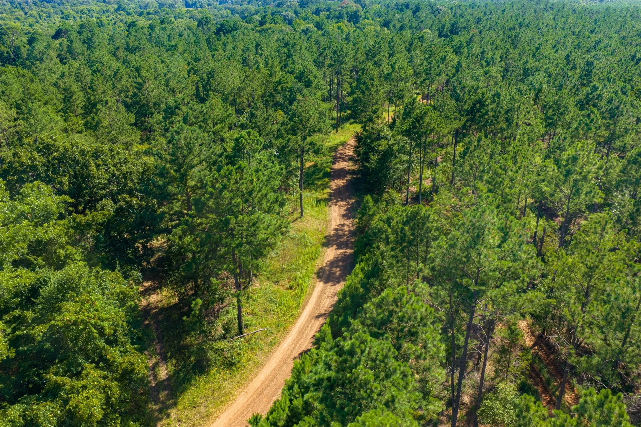 Unimproved Land For Sale in Cherokee County , 00 County Road 1310, Rusk, Texas 75785, 0, 0, Garage spaces, 0 Sqft, built in 0, mls#21329706, Real Estate Agent in Rusk, Homes For Sale in Cherokee county, Homes For Sale in Rusk, Realtor in Rusk Texas, Real Estate Brokerage Independent Realty Texas, Luminita Cordes Realtor