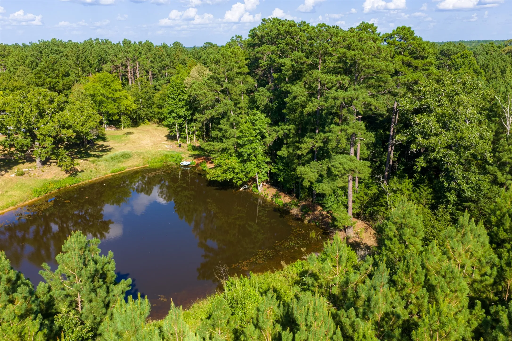 Unimproved Land For Sale in Cherokee County , 00 County Road 1310, Rusk, Texas 75785, 0, 0, Garage spaces, 0 Sqft, built in 0, mls#21329706, Real Estate Agent in Rusk, Homes For Sale in Cherokee county, Homes For Sale in Rusk, Realtor in Rusk Texas, Real Estate Brokerage Independent Realty Texas, Luminita Cordes Realtor