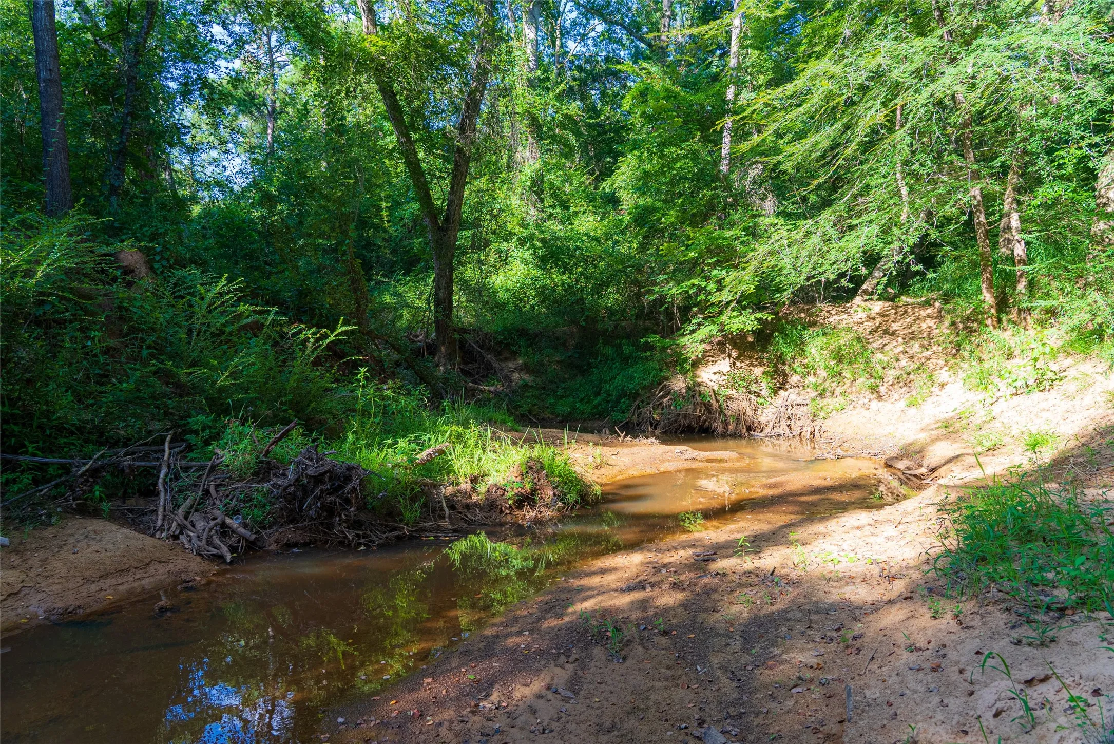 Unimproved Land For Sale in Cherokee County , 00 County Road 1310, Rusk, Texas 75785, 0, 0, Garage spaces, 0 Sqft, built in 0, mls#21329706, Real Estate Agent in Rusk, Homes For Sale in Cherokee county, Homes For Sale in Rusk, Realtor in Rusk Texas, Real Estate Brokerage Independent Realty Texas, Luminita Cordes Realtor
