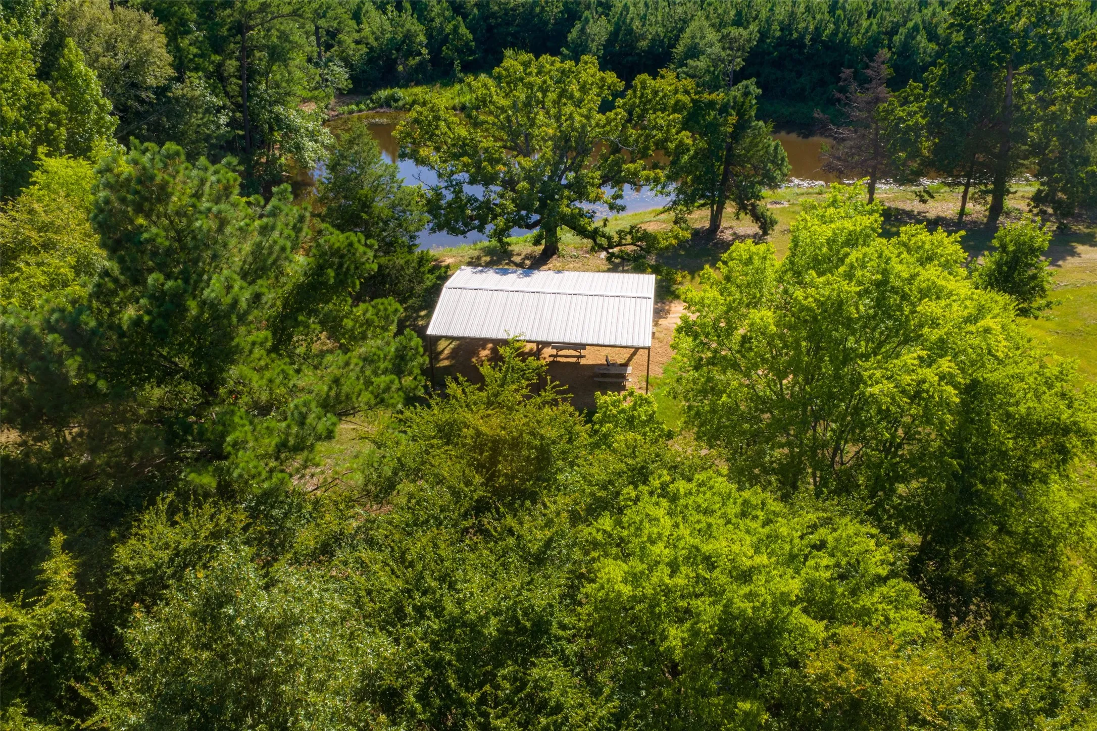 Unimproved Land For Sale in Cherokee County , 00 County Road 1310, Rusk, Texas 75785, 0, 0, Garage spaces, 0 Sqft, built in 0, mls#21329706, Real Estate Agent in Rusk, Homes For Sale in Cherokee county, Homes For Sale in Rusk, Realtor in Rusk Texas, Real Estate Brokerage Independent Realty Texas, Luminita Cordes Realtor