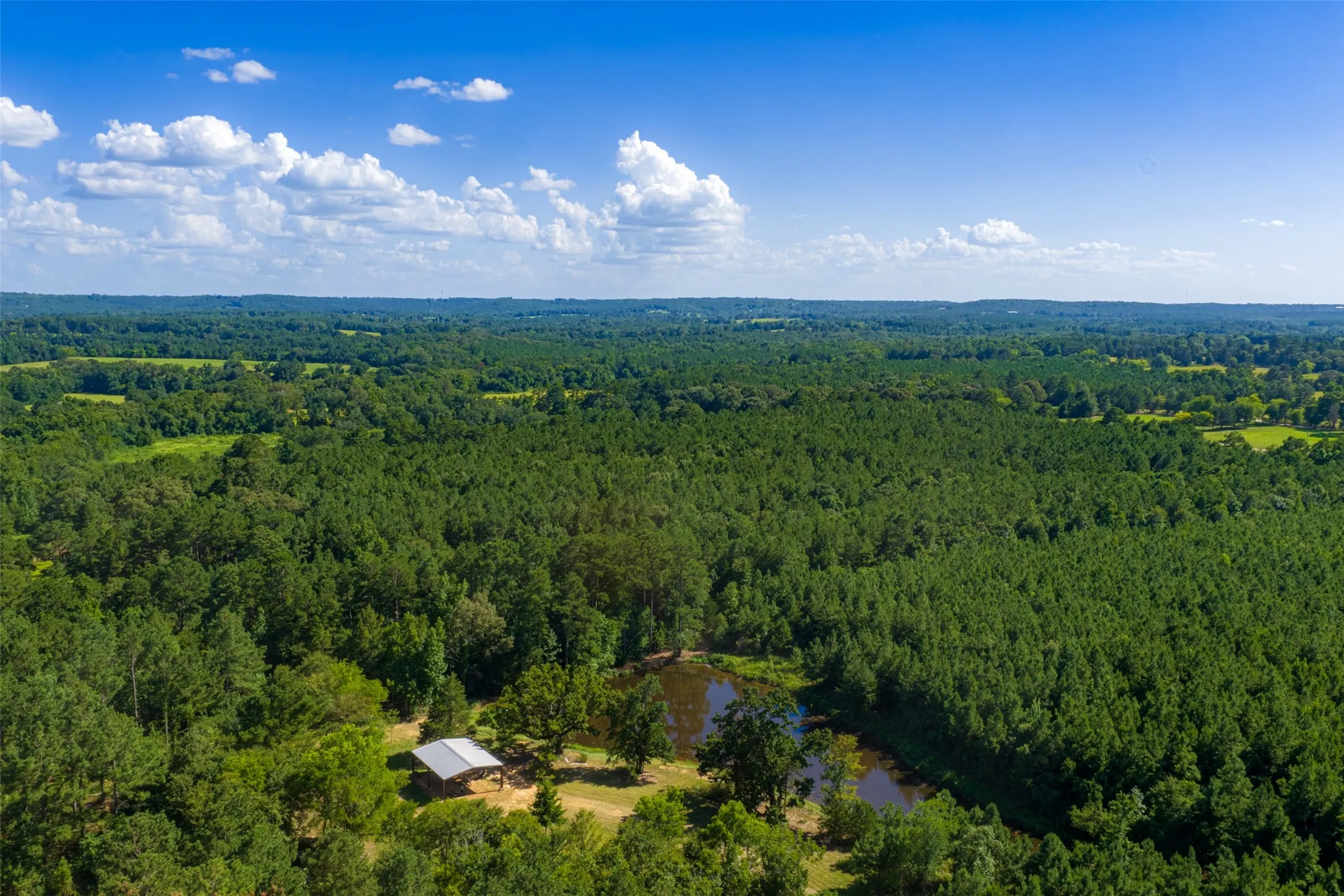 Unimproved Land For Sale in Cherokee County , 00 County Road 1310, Rusk, Texas 75785, 0, 0, Garage spaces, 0 Sqft, built in 0, mls#21329706, Real Estate Agent in Rusk, Homes For Sale in Cherokee county, Homes For Sale in Rusk, Realtor in Rusk Texas, Real Estate Brokerage Independent Realty Texas, Luminita Cordes Realtor