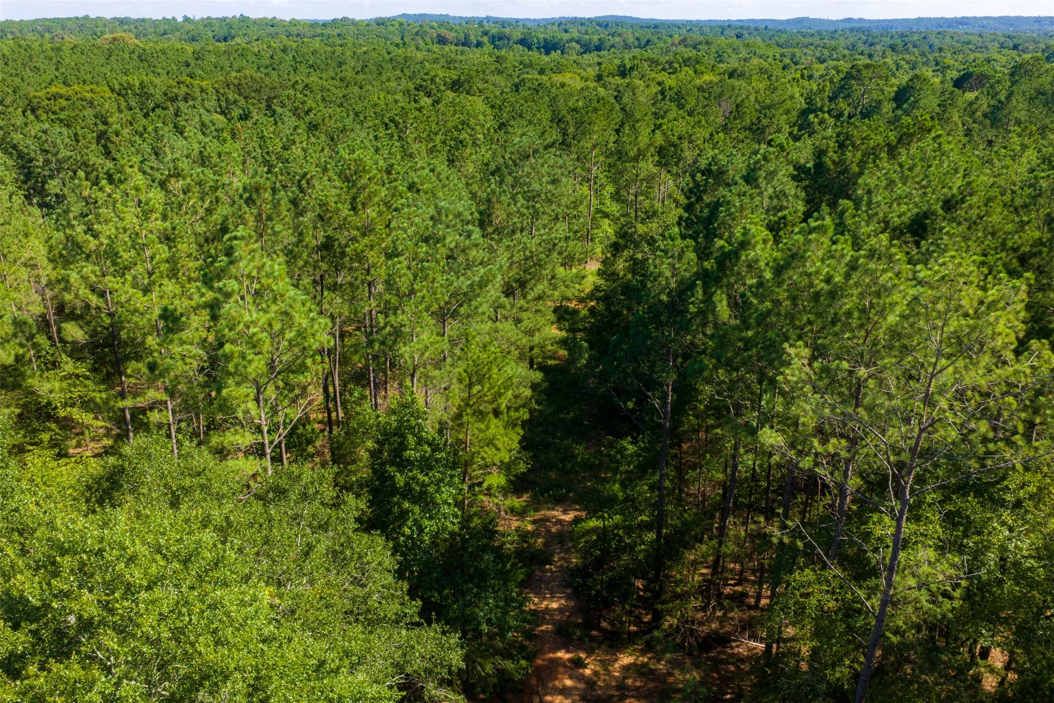 Unimproved Land For Sale in Cherokee County , 00 County Road 1310, Rusk, Texas 75785, 0, 0, Garage spaces, 0 Sqft, built in 0, mls#21329706, Real Estate Agent in Rusk, Homes For Sale in Cherokee county, Homes For Sale in Rusk, Realtor in Rusk Texas, Real Estate Brokerage Independent Realty Texas, Luminita Cordes Realtor