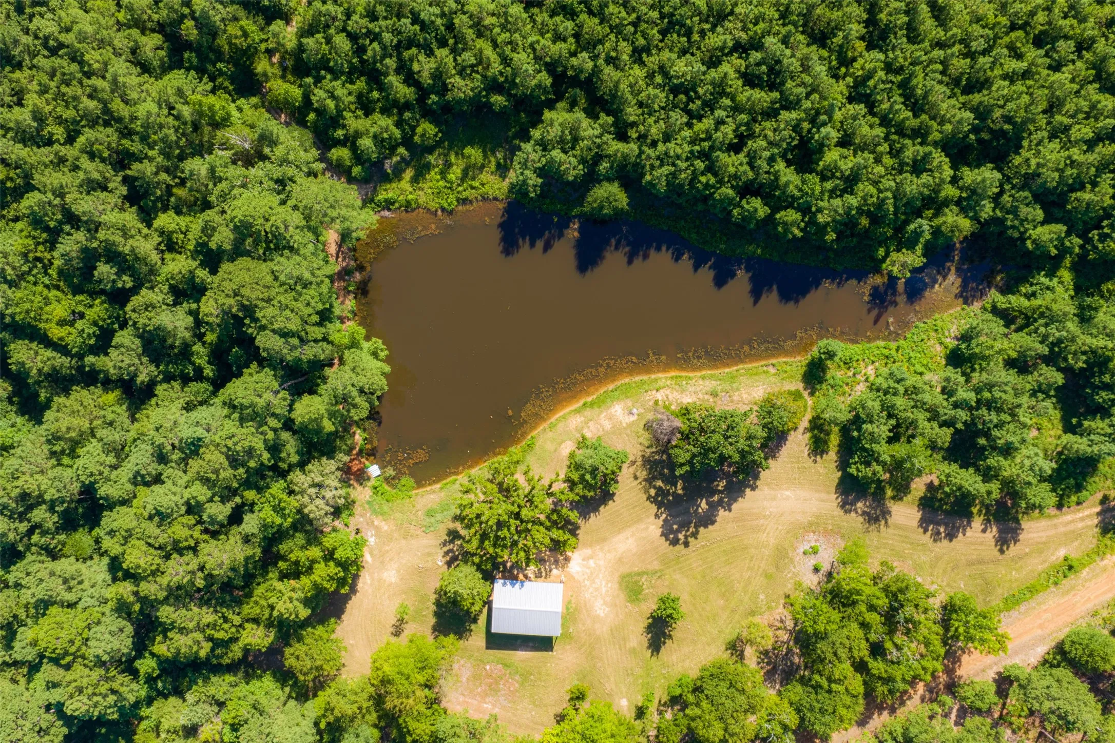 Unimproved Land For Sale in Cherokee County , 00 County Road 1310, Rusk, Texas 75785, 0, 0, Garage spaces, 0 Sqft, built in 0, mls#21329706, Real Estate Agent in Rusk, Homes For Sale in Cherokee county, Homes For Sale in Rusk, Realtor in Rusk Texas, Real Estate Brokerage Independent Realty Texas, Luminita Cordes Realtor