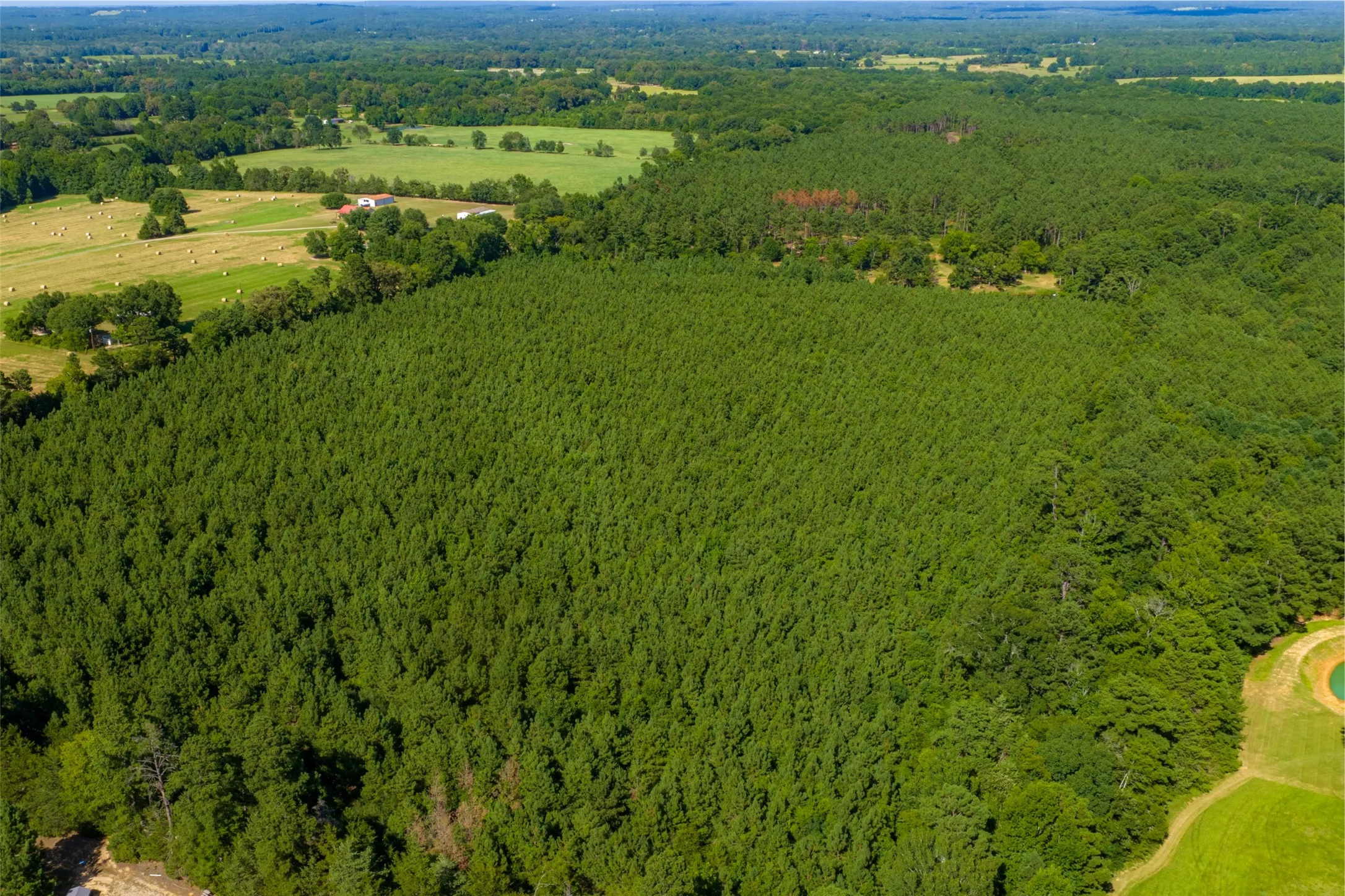 Unimproved Land For Sale in Cherokee County , 00 County Road 1310, Rusk, Texas 75785, 0, 0, Garage spaces, 0 Sqft, built in 0, mls#21329706, Real Estate Agent in Rusk, Homes For Sale in Cherokee county, Homes For Sale in Rusk, Realtor in Rusk Texas, Real Estate Brokerage Independent Realty Texas, Luminita Cordes Realtor