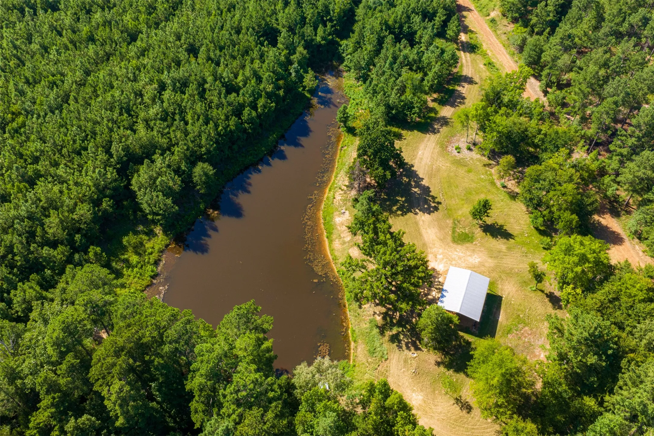 Unimproved Land For Sale in Cherokee County , 00 County Road 1310, Rusk, Texas 75785, 0, 0, Garage spaces, 0 Sqft, built in 0, mls#21329706, Real Estate Agent in Rusk, Homes For Sale in Cherokee county, Homes For Sale in Rusk, Realtor in Rusk Texas, Real Estate Brokerage Independent Realty Texas, Luminita Cordes Realtor