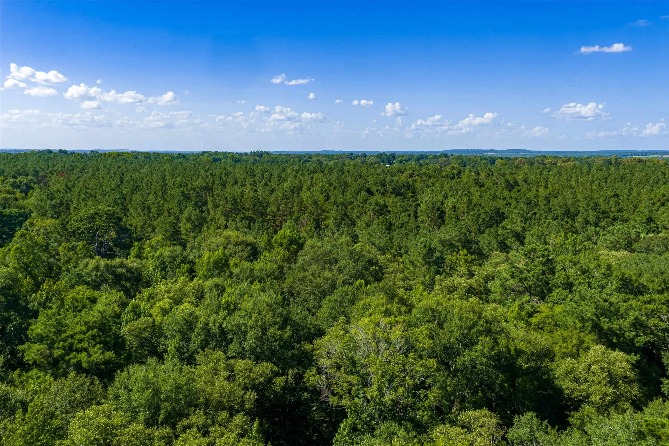 Unimproved Land For Sale in Cherokee County , 00 County Road 1310, Rusk, Texas 75785, 0, 0, Garage spaces, 0 Sqft, built in 0, mls#21329706, Real Estate Agent in Rusk, Homes For Sale in Cherokee county, Homes For Sale in Rusk, Realtor in Rusk Texas, Real Estate Brokerage Independent Realty Texas, Luminita Cordes Realtor