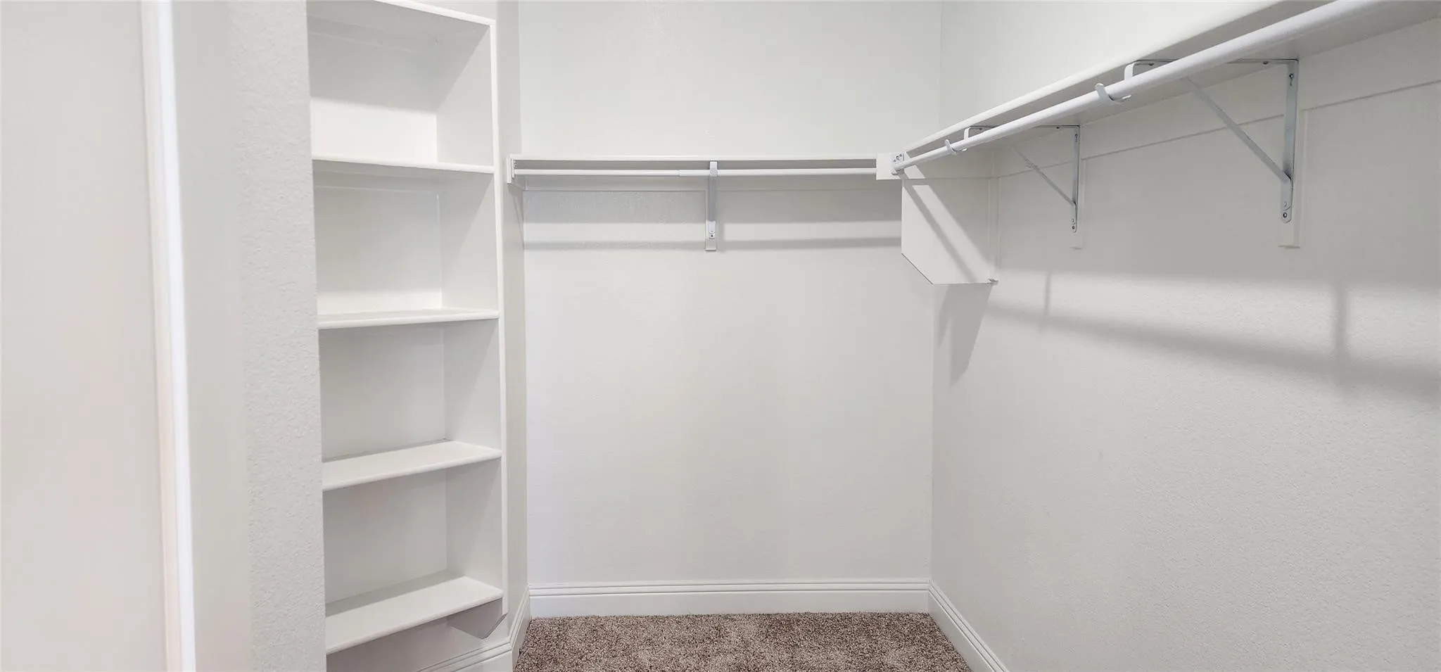 Walk-in closet featuring built-in shelving, white walls, white trim, and neutral carpet