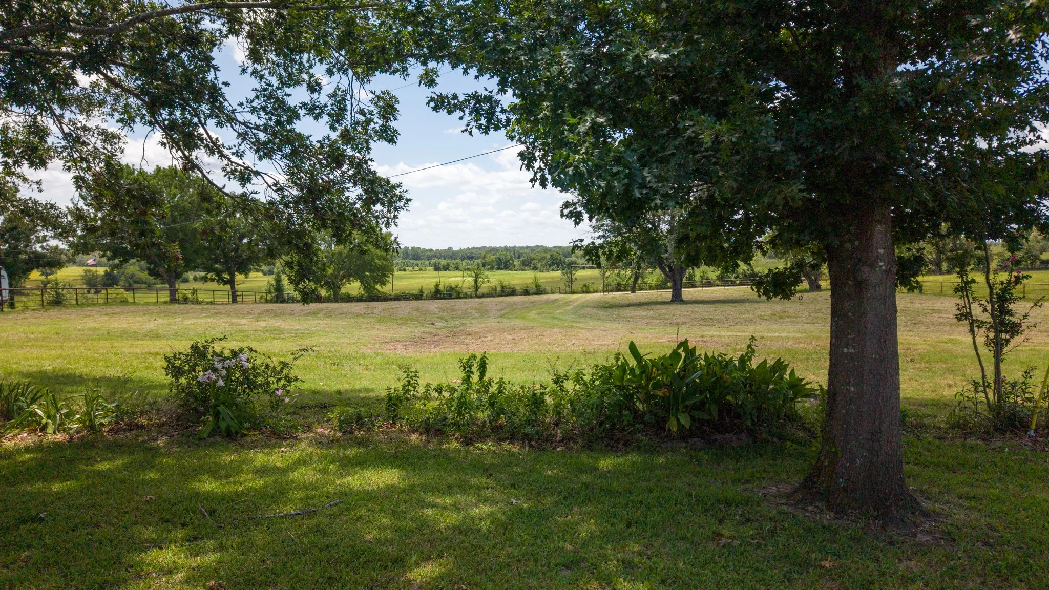 Expansive green lawn with scattered trees and a natural landscape