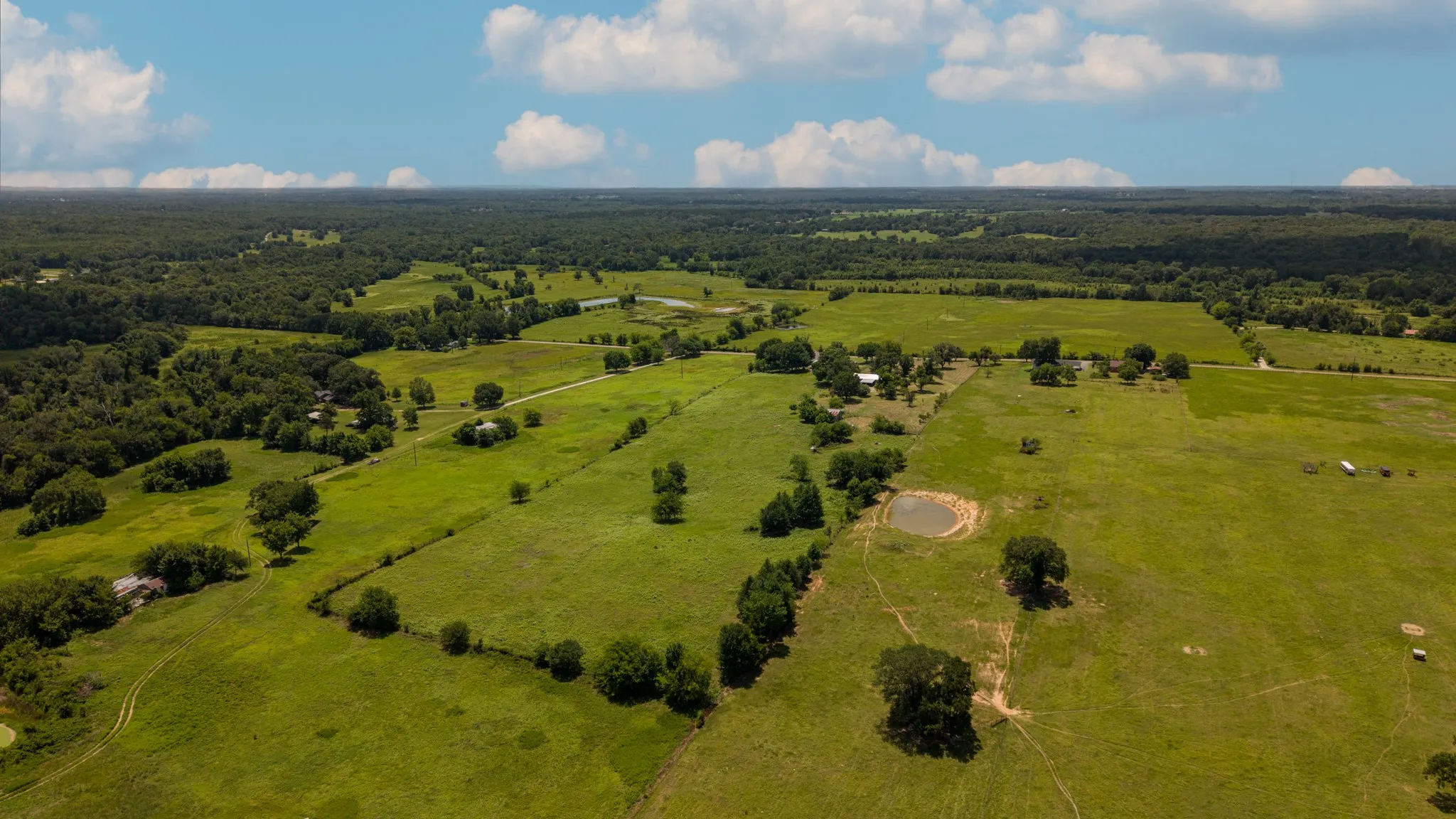 Expansive rural landscape featuring verdant fields, scattered mature trees, and a visible pond