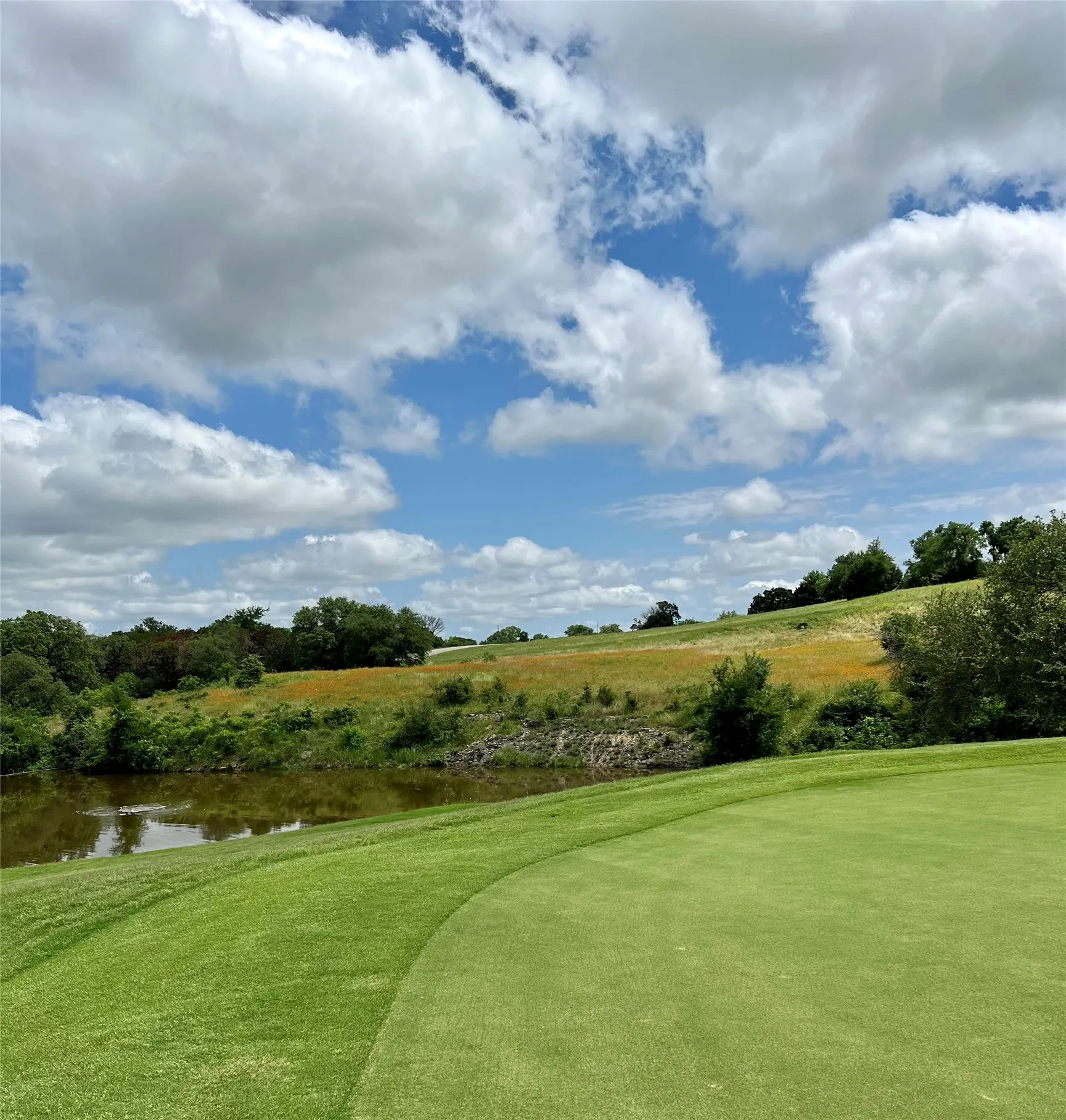 Unimproved Land For Sale in Johnson County , 6528 Berkshire Drive, Cleburne, Texas 76033, 0, 0, Garage spaces, 0 Sqft, built in 0, mls#21329687, Real Estate Agent in Cleburne, Homes For Sale in Johnson county, Homes For Sale in Cleburne, Realtor in Cleburne Texas, Real Estate Brokerage Independent Realty Texas, Luminita Cordes Realtor