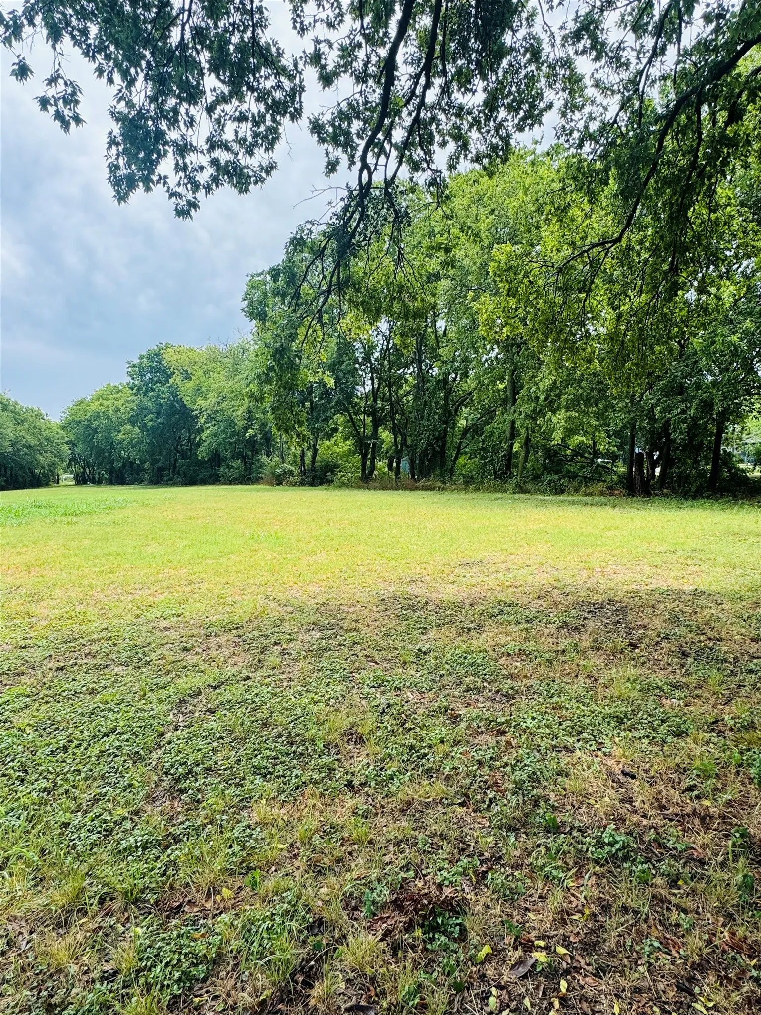Unimproved Land For Sale in Johnson County , 400 Batterson Street, Cleburne, Texas 76031, 0, 0, Garage spaces, 0 Sqft, built in 0, Price $65,000, mls#21327356, Real Estate Agent in Cleburne, Homes For Sale in Johnson county, Homes For Sale in Cleburne, Realtor in Cleburne Texas, Real Estate Brokerage Independent Realty Texas, Luminita Cordes Realtor