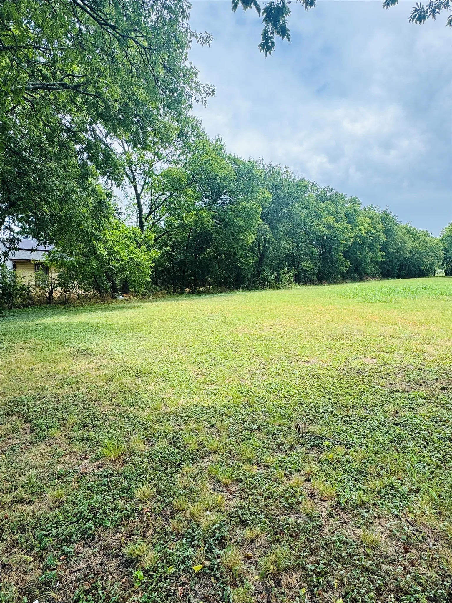 Unimproved Land For Sale in Johnson County , 400 Batterson Street, Cleburne, Texas 76031, 0, 0, Garage spaces, 0 Sqft, built in 0, Price $65,000, mls#21327356, Real Estate Agent in Cleburne, Homes For Sale in Johnson county, Homes For Sale in Cleburne, Realtor in Cleburne Texas, Real Estate Brokerage Independent Realty Texas, Luminita Cordes Realtor