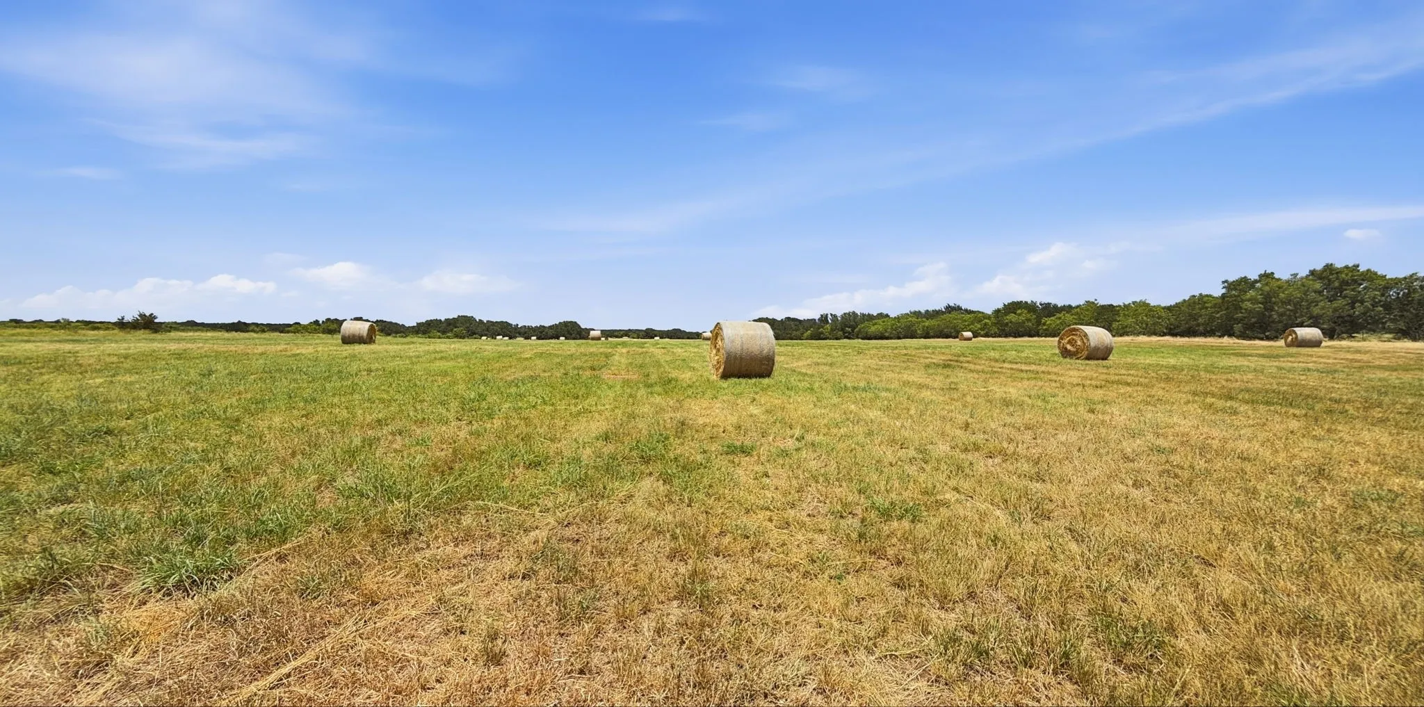 Farm For Sale in Hamilton County , 2875 County Road 610, Hamilton, Texas 76531, 3 Bedroom, 2 Bathroom, Garage spaces, 1,940 Sqft, built in 1960, mls#21329780, Real Estate Agent in Hamilton, Homes For Sale in Hamilton county, Homes For Sale in Hamilton, Realtor in Hamilton Texas, Real Estate Brokerage Independent Realty Texas, Luminita Cordes Realtor