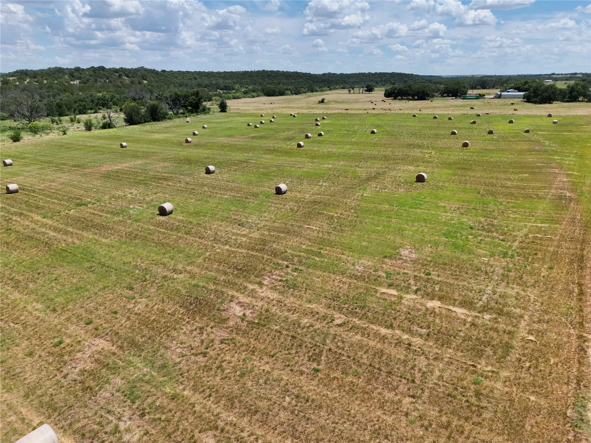 Farm For Sale in Hamilton County , 2875 County Road 610, Hamilton, Texas 76531, 3 Bedroom, 2 Bathroom, Garage spaces, 1,940 Sqft, built in 1960, mls#21329780, Real Estate Agent in Hamilton, Homes For Sale in Hamilton county, Homes For Sale in Hamilton, Realtor in Hamilton Texas, Real Estate Brokerage Independent Realty Texas, Luminita Cordes Realtor