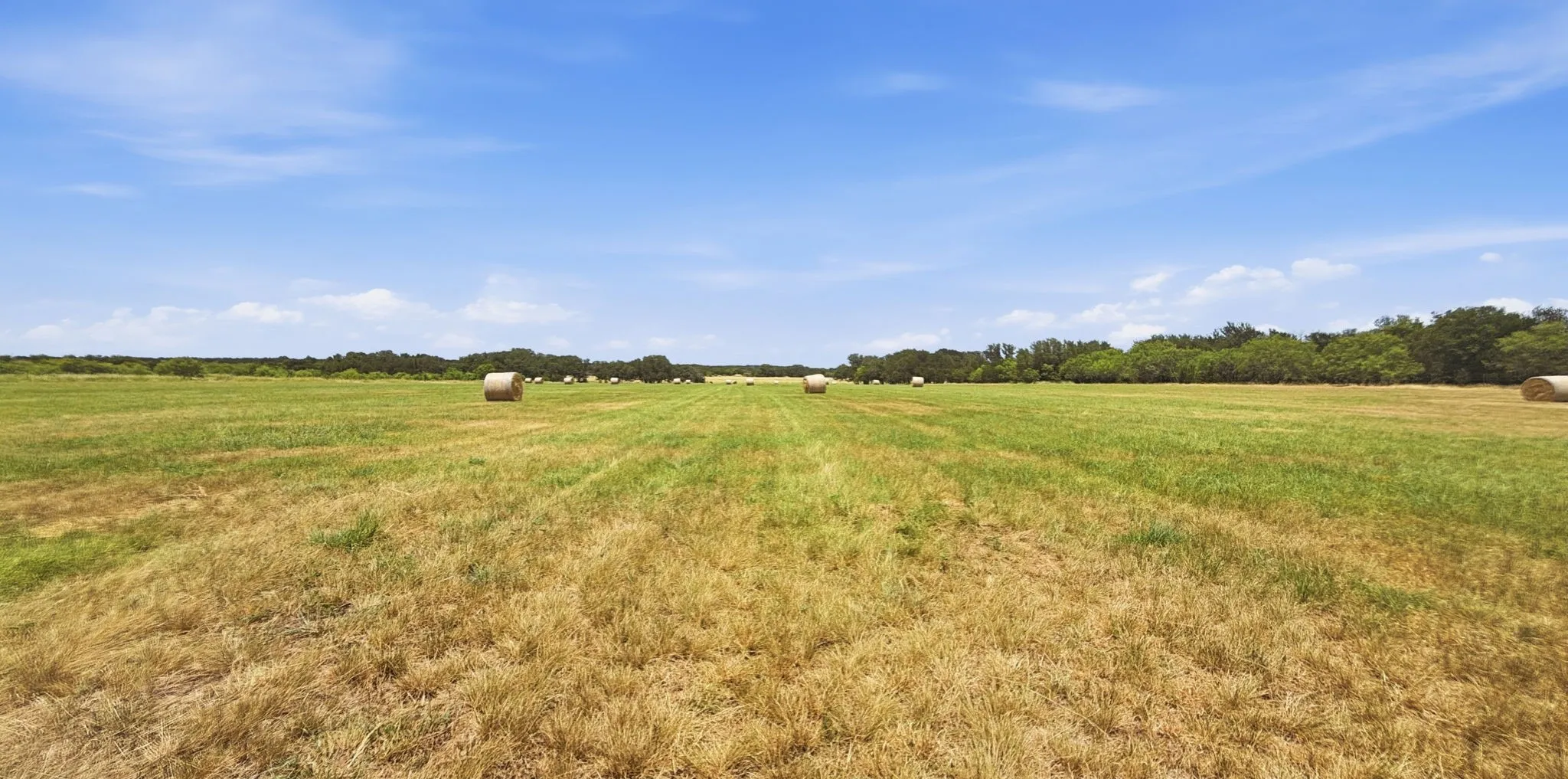 Farm For Sale in Hamilton County , 2875 County Road 610, Hamilton, Texas 76531, 3 Bedroom, 2 Bathroom, Garage spaces, 1,940 Sqft, built in 1960, mls#21329780, Real Estate Agent in Hamilton, Homes For Sale in Hamilton county, Homes For Sale in Hamilton, Realtor in Hamilton Texas, Real Estate Brokerage Independent Realty Texas, Luminita Cordes Realtor
