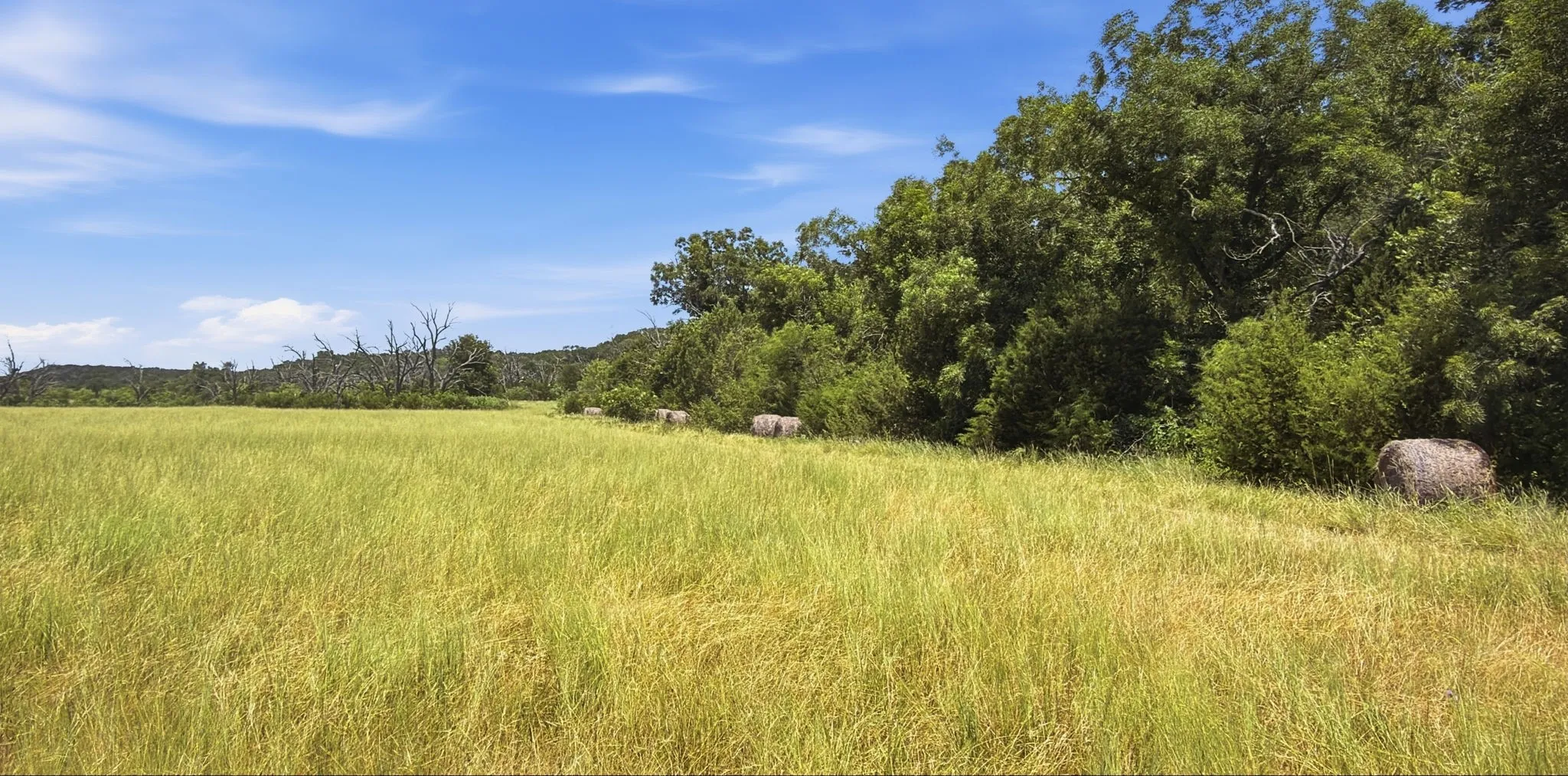 Farm For Sale in Hamilton County , 2875 County Road 610, Hamilton, Texas 76531, 3 Bedroom, 2 Bathroom, Garage spaces, 1,940 Sqft, built in 1960, mls#21329780, Real Estate Agent in Hamilton, Homes For Sale in Hamilton county, Homes For Sale in Hamilton, Realtor in Hamilton Texas, Real Estate Brokerage Independent Realty Texas, Luminita Cordes Realtor