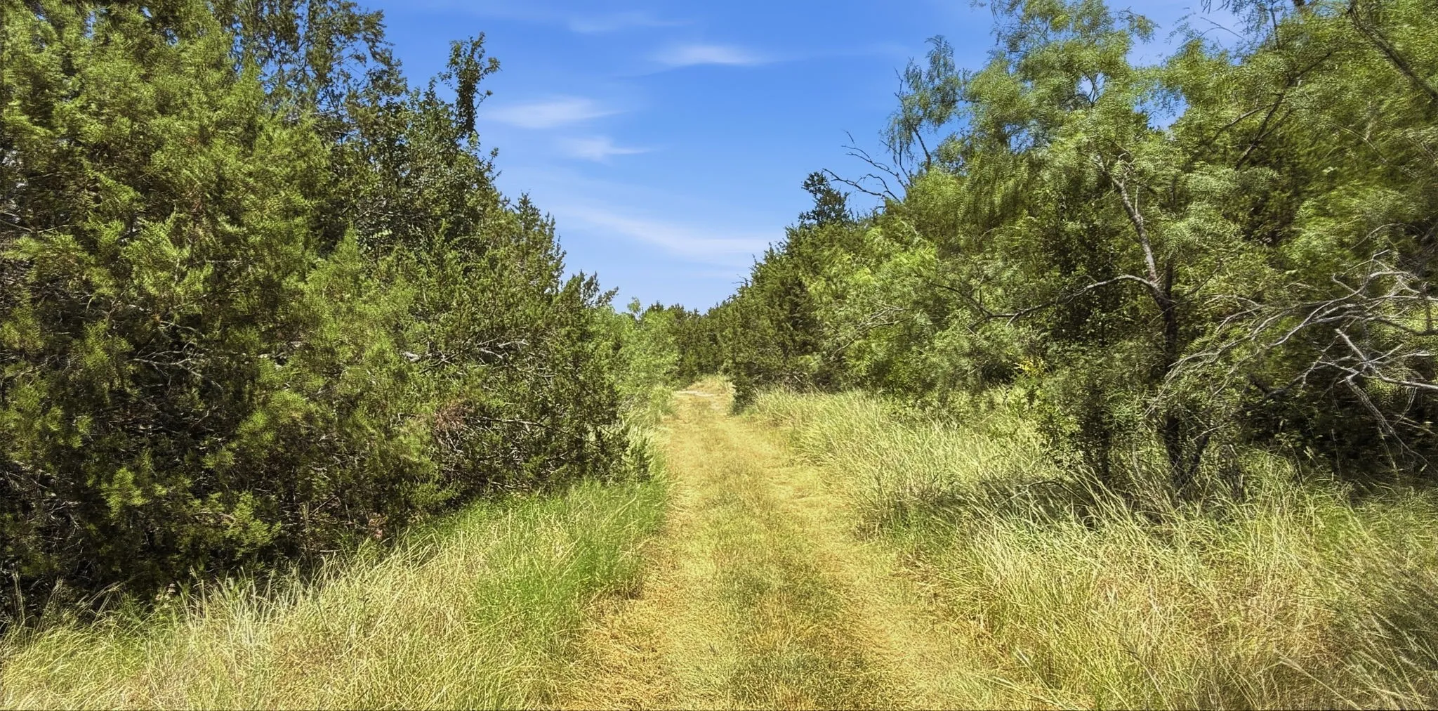 Farm For Sale in Hamilton County , 2875 County Road 610, Hamilton, Texas 76531, 3 Bedroom, 2 Bathroom, Garage spaces, 1,940 Sqft, built in 1960, mls#21329780, Real Estate Agent in Hamilton, Homes For Sale in Hamilton county, Homes For Sale in Hamilton, Realtor in Hamilton Texas, Real Estate Brokerage Independent Realty Texas, Luminita Cordes Realtor