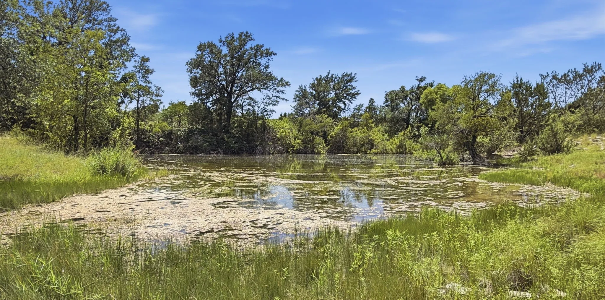 Farm For Sale in Hamilton County , 2875 County Road 610, Hamilton, Texas 76531, 3 Bedroom, 2 Bathroom, Garage spaces, 1,940 Sqft, built in 1960, mls#21329780, Real Estate Agent in Hamilton, Homes For Sale in Hamilton county, Homes For Sale in Hamilton, Realtor in Hamilton Texas, Real Estate Brokerage Independent Realty Texas, Luminita Cordes Realtor