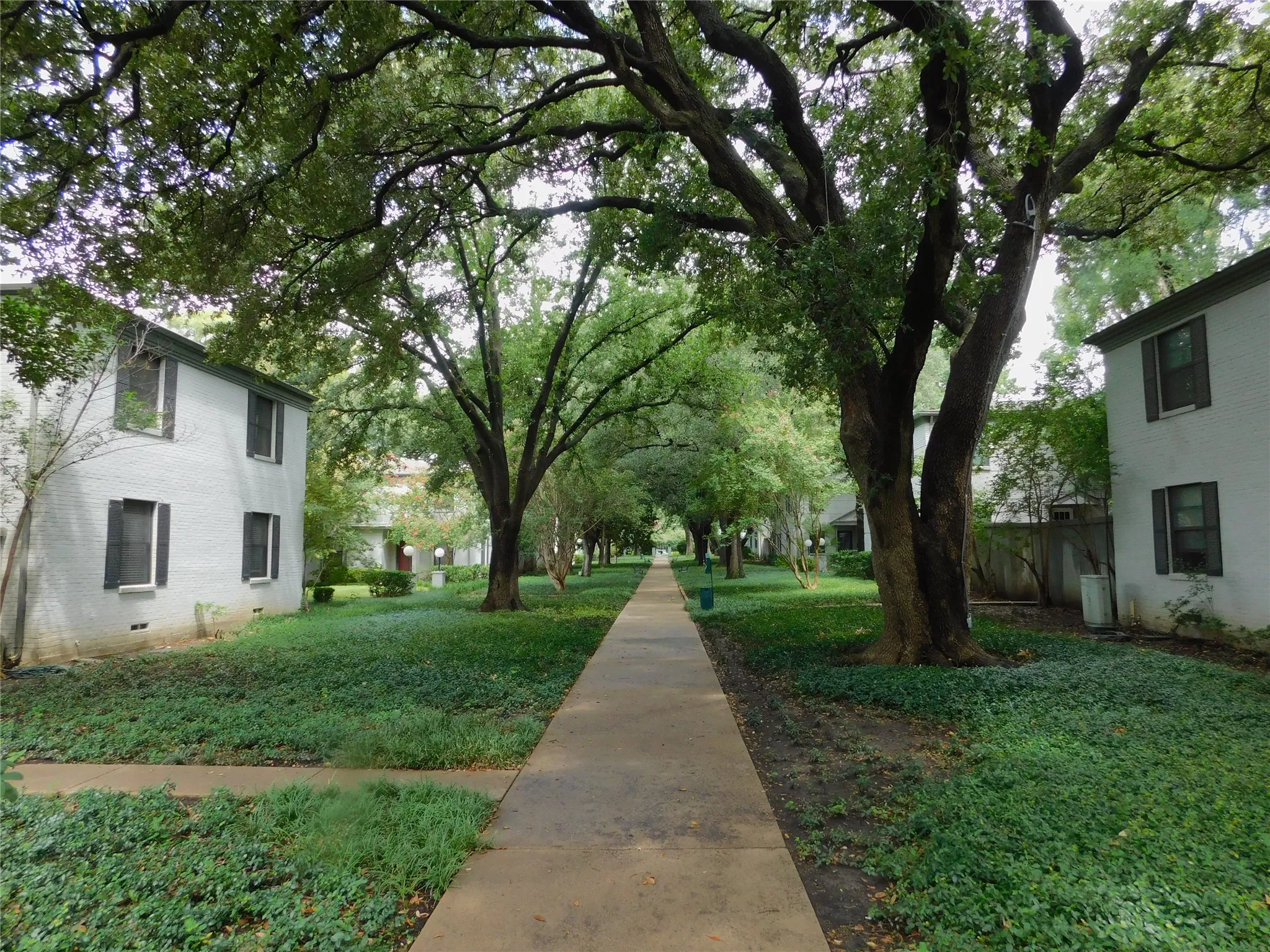 Condominium For Rent in Dallas County , 4906 N Hall Street, Dallas, Texas 75235, 2 Bedroom, 2 Bathroom, Garage spaces, 1,145 Sqft, built in 1954, mls#21329117, Real Estate Agent in Dallas, Homes For Rent in Dallas county, Homes For Rent in Dallas, Realtor in Dallas Texas, Real Estate Brokerage Independent Realty Texas, Luminita Cordes Realtor