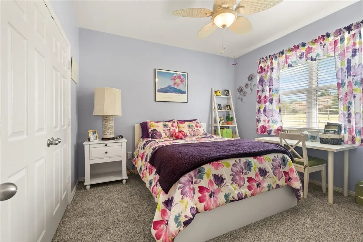 Carpeted bedroom featuring a large window with blinds, a ceiling fan with integrated lighting, and a white paneled door