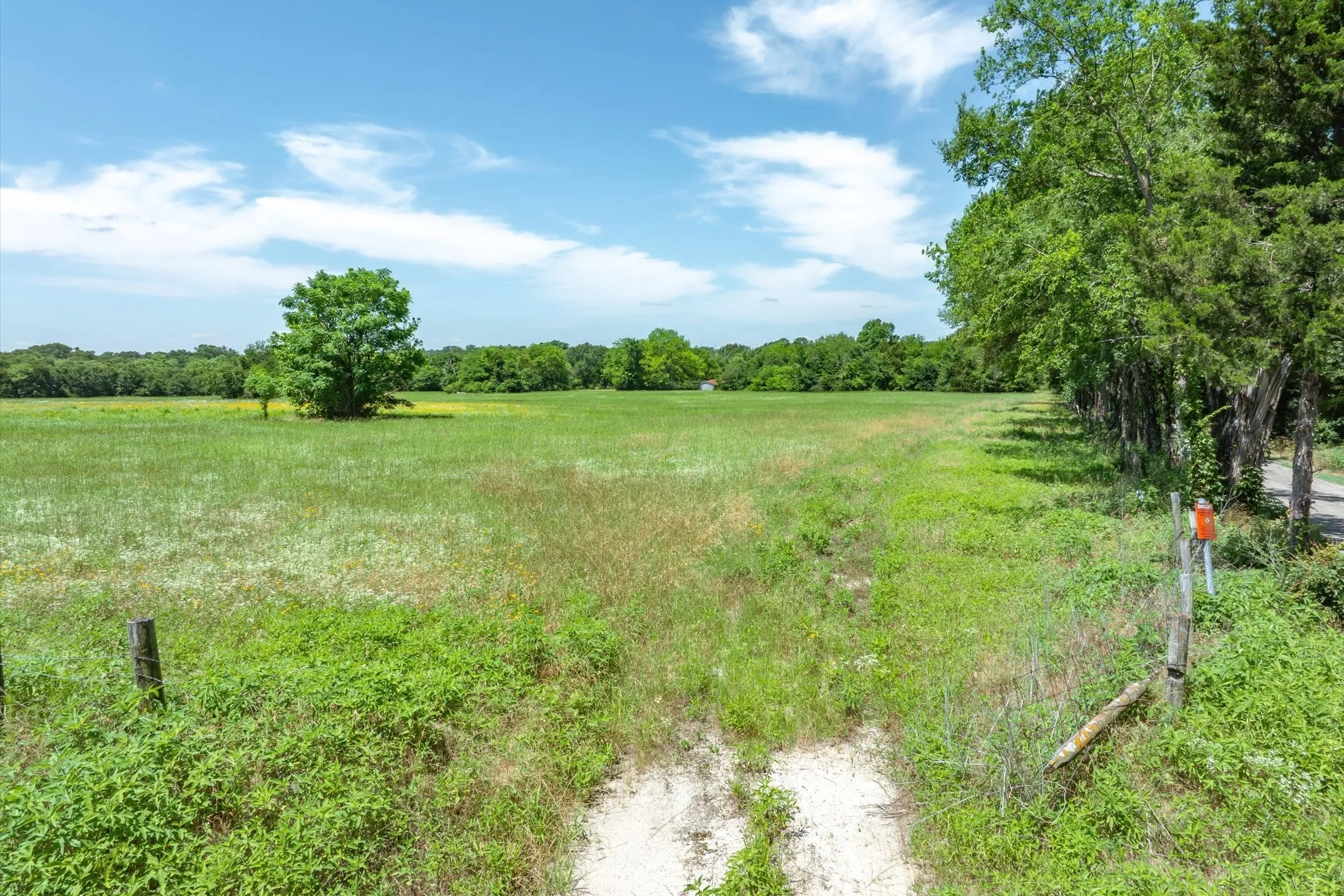 Unimproved Land For Sale in Rains County , Lot 1 State Hwy 19 & RS CR 1150, Emory, Texas 75440, 0, 0, Garage spaces, 0 Sqft, built in 0, mls#21311295, Real Estate Agent in Emory, Homes For Sale in Rains county, Homes For Sale in Emory, Realtor in Emory Texas, Real Estate Brokerage Independent Realty Texas, Luminita Cordes Realtor