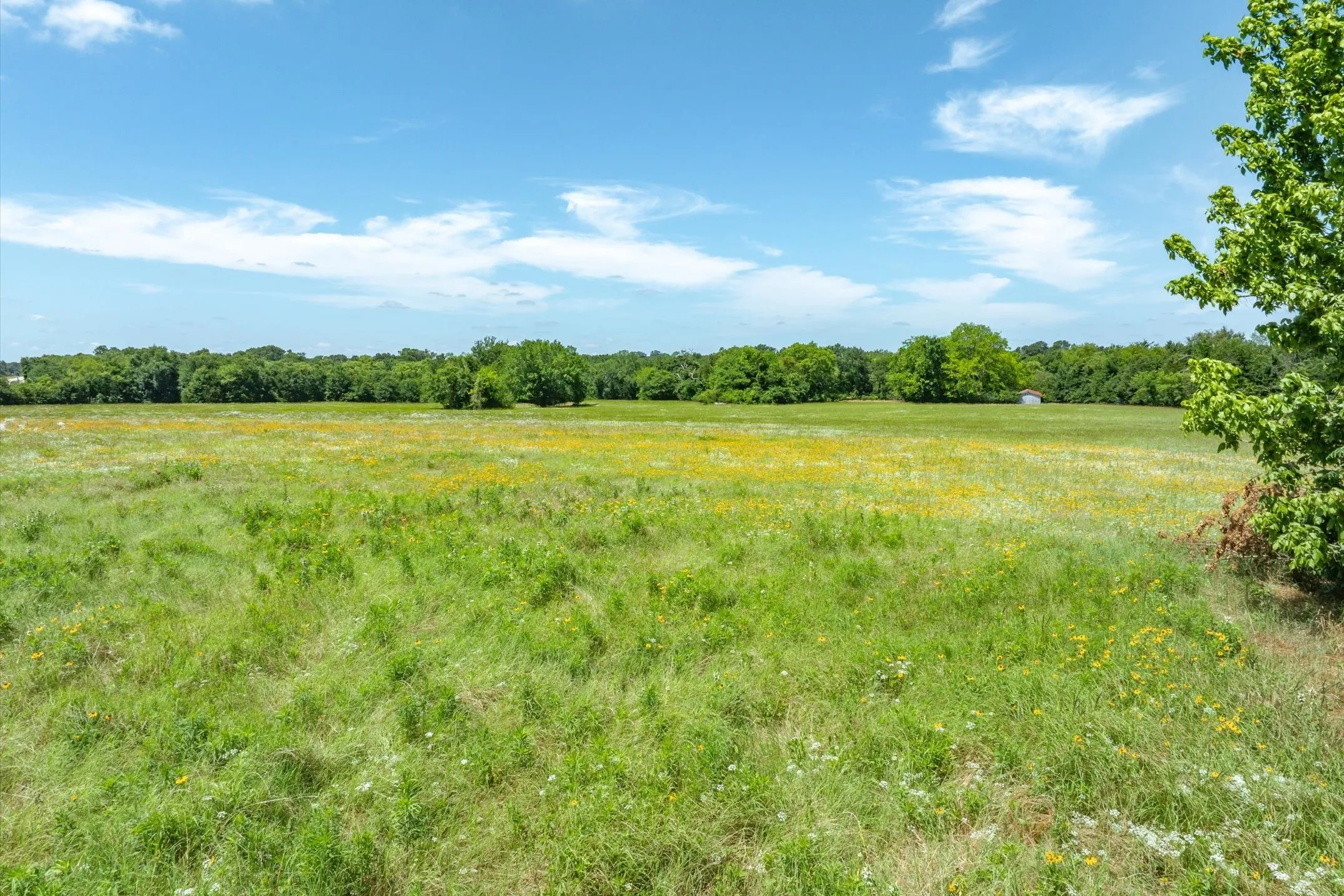 Unimproved Land For Sale in Rains County , Lot 1 State Hwy 19 & RS CR 1150, Emory, Texas 75440, 0, 0, Garage spaces, 0 Sqft, built in 0, mls#21311295, Real Estate Agent in Emory, Homes For Sale in Rains county, Homes For Sale in Emory, Realtor in Emory Texas, Real Estate Brokerage Independent Realty Texas, Luminita Cordes Realtor