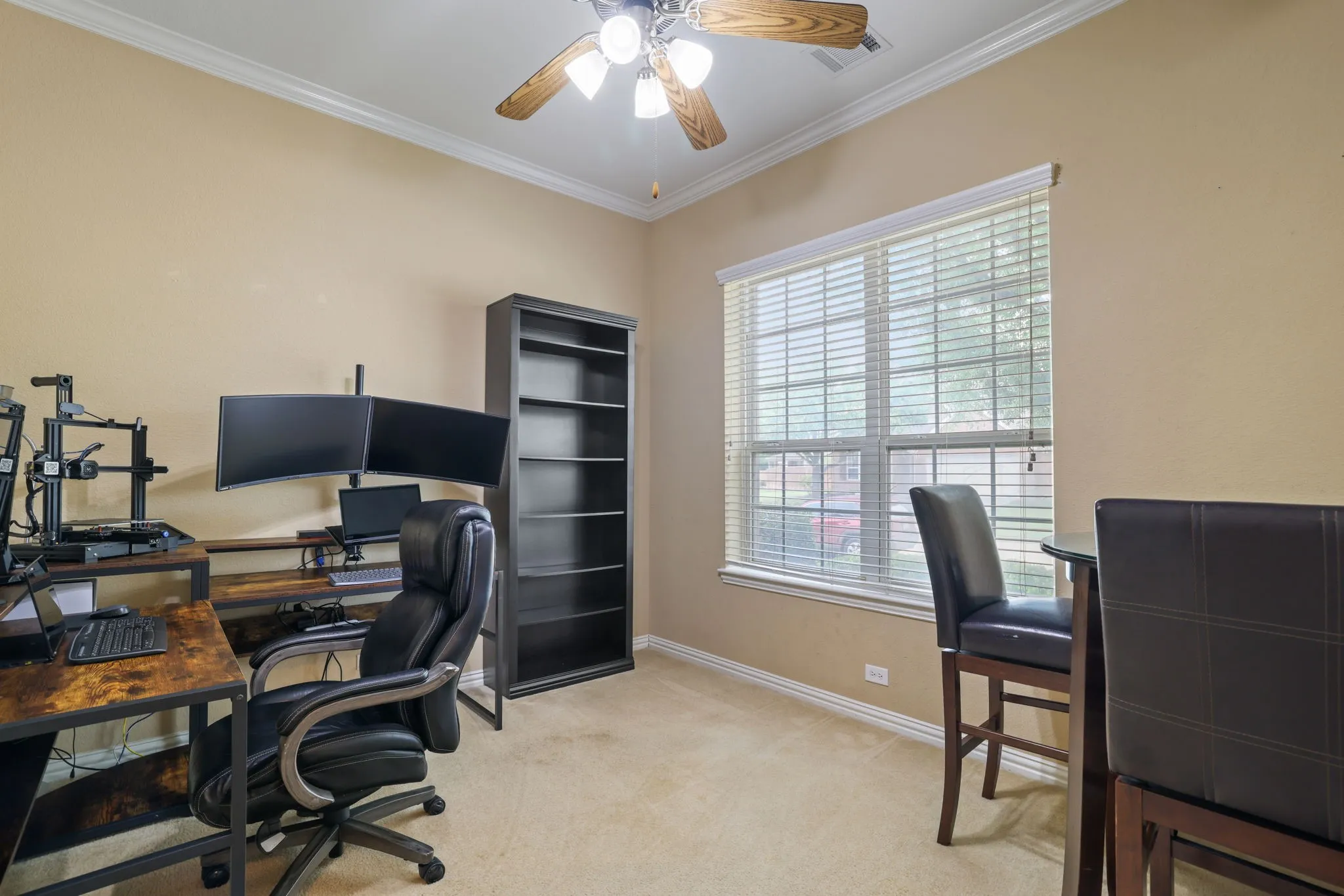 Carpeted room with a ceiling fan, crown molding, and a large window with horizontal blinds