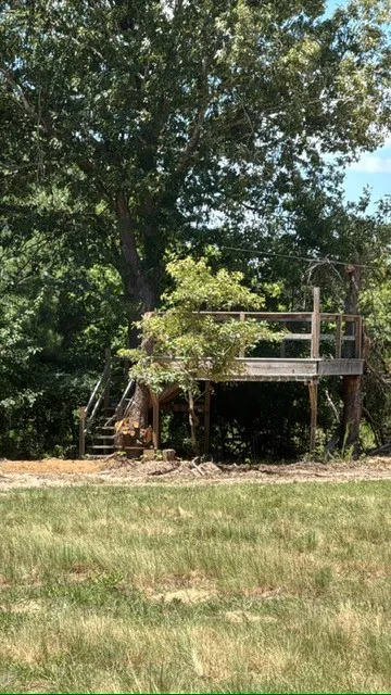 Tree Fort with Zipline