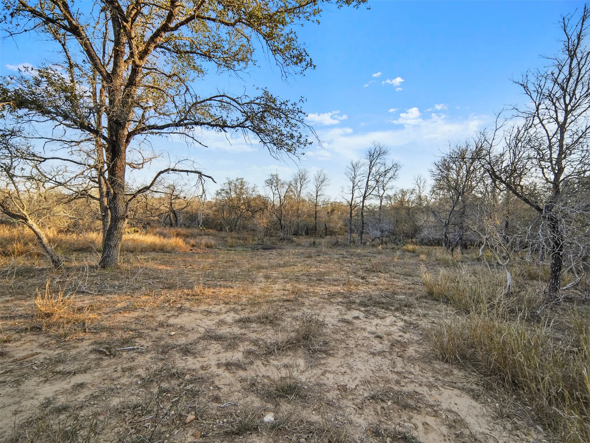 Unimproved Land For Sale in Guadalupe County , Tract 1 US Hwy 90 Alt, Seguin, Texas 78155, 0, 0, Garage spaces, 0 Sqft, built in 0, Price $789,000, mls#21329896, Real Estate Agent in Seguin, Homes For Sale in Guadalupe county, Homes For Sale in Seguin, Realtor in Seguin Texas, Real Estate Brokerage Independent Realty Texas, Luminita Cordes Realtor