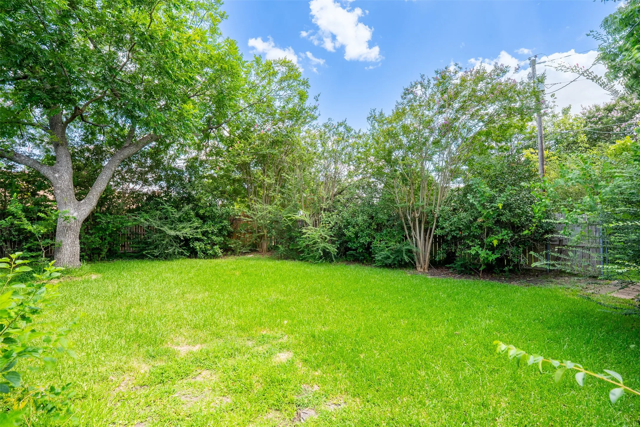 Expansive grassy yard area with mature trees and perimeter fencing