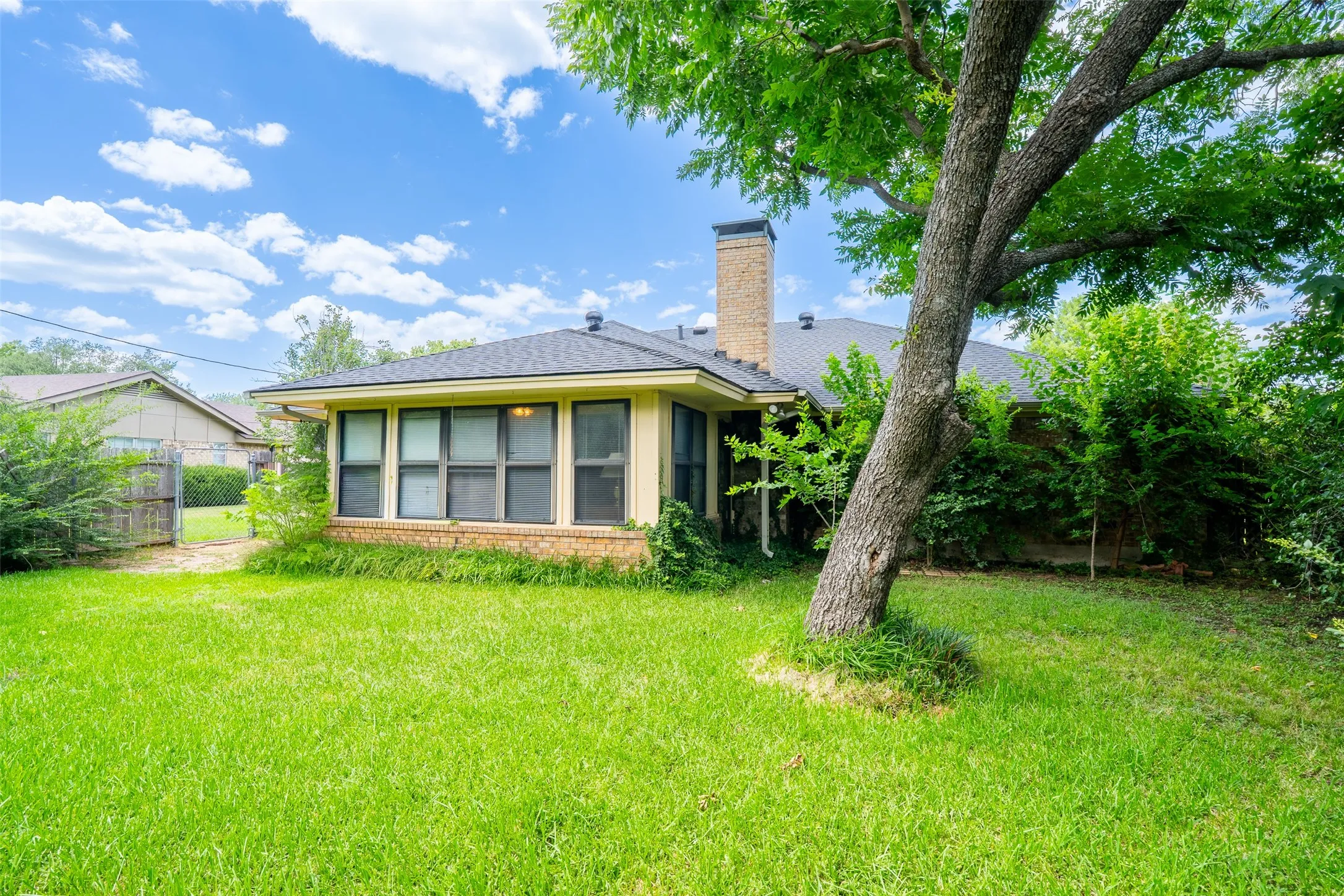 Spacious rear yard featuring an established tree, verdant lawn, and a brick-base exterior with a series of windows