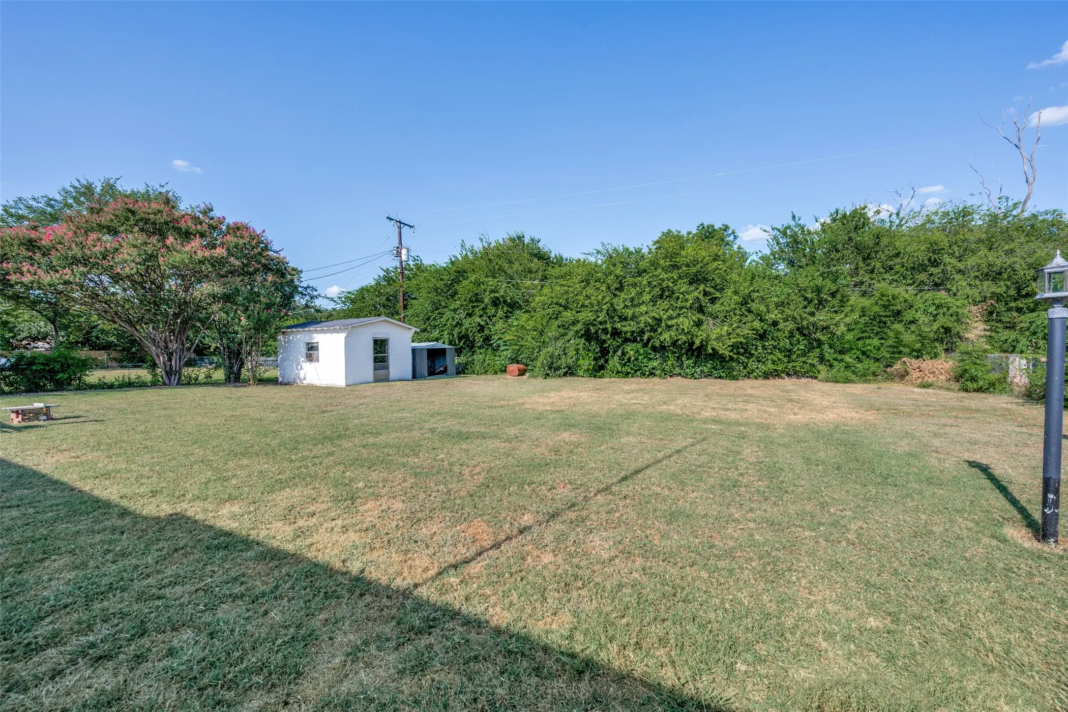 Expansive backyard featuring a manicured lawn, established trees, and a detached storage shed