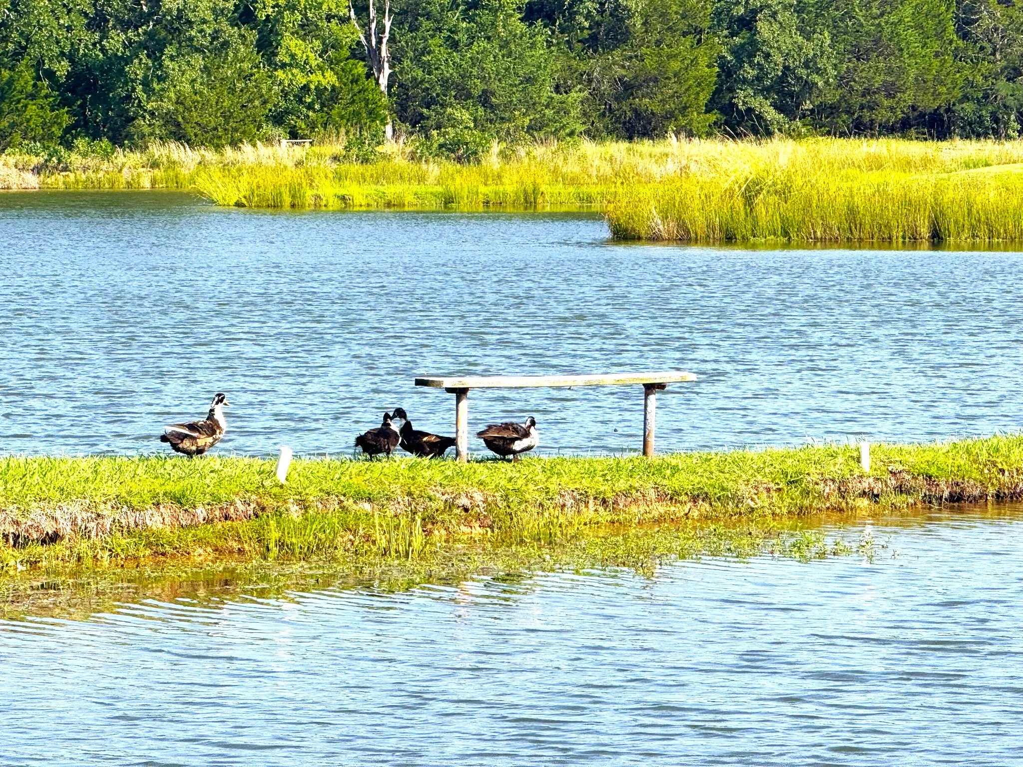 Community Lake