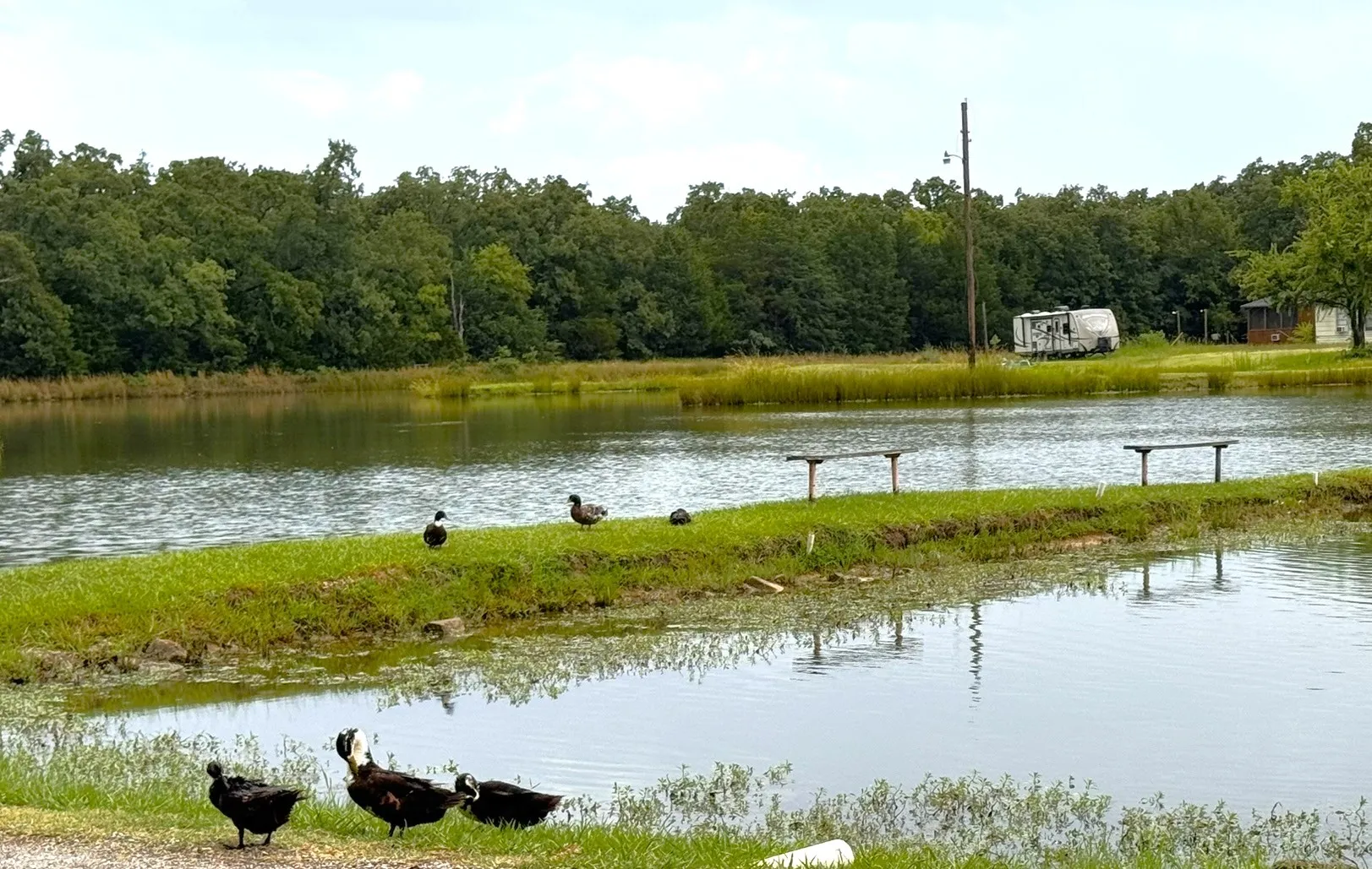 Community Lake