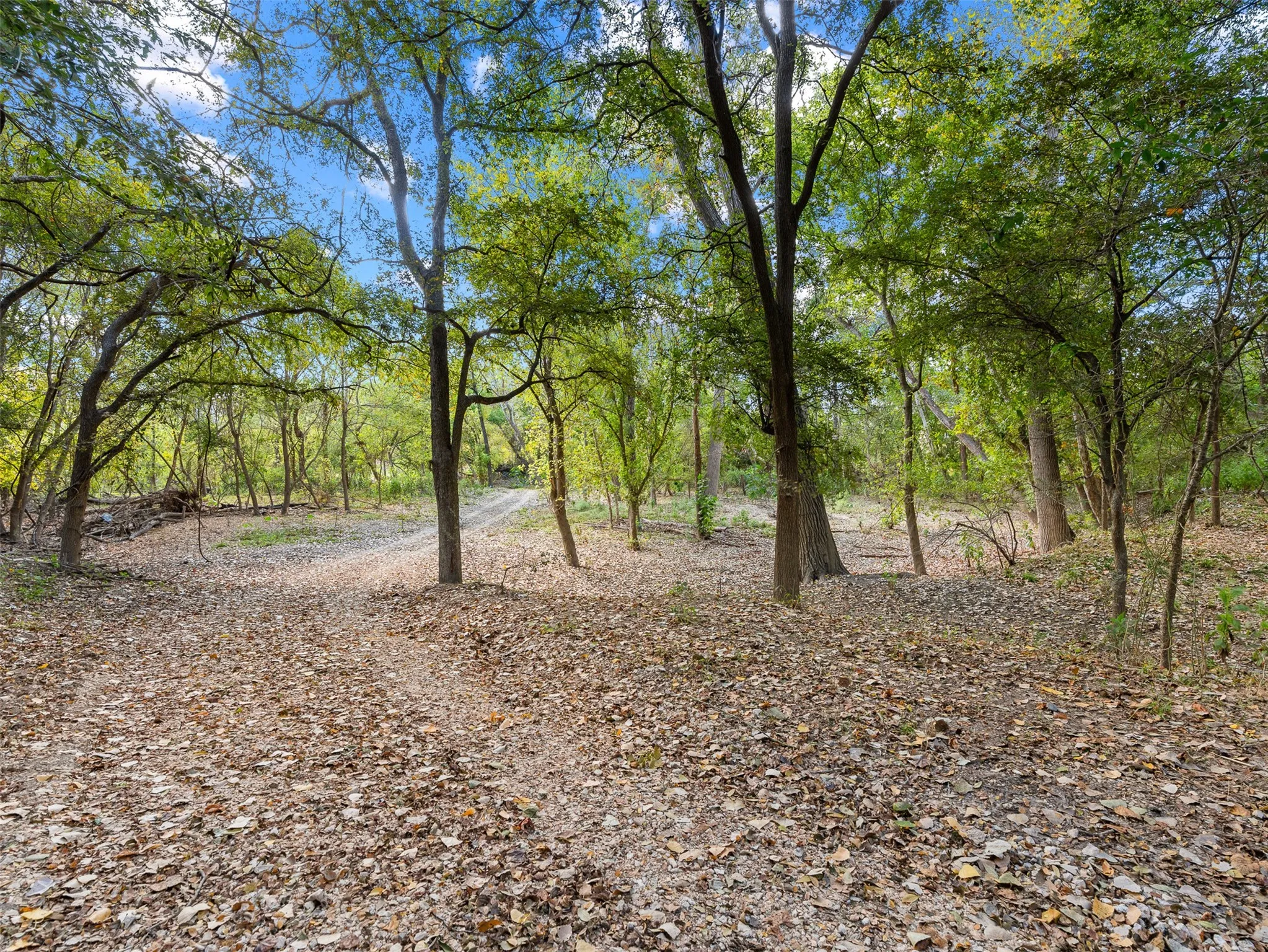 Unimproved Land For Sale in Guadalupe County , Tract 3 US Hwy 90 Alt, Seguin, Texas 78155, 0, 0, Garage spaces, 0 Sqft, built in 0, Price $599,900, mls#21330078, Real Estate Agent in Seguin, Homes For Sale in Guadalupe county, Homes For Sale in Seguin, Realtor in Seguin Texas, Real Estate Brokerage Independent Realty Texas, Luminita Cordes Realtor
