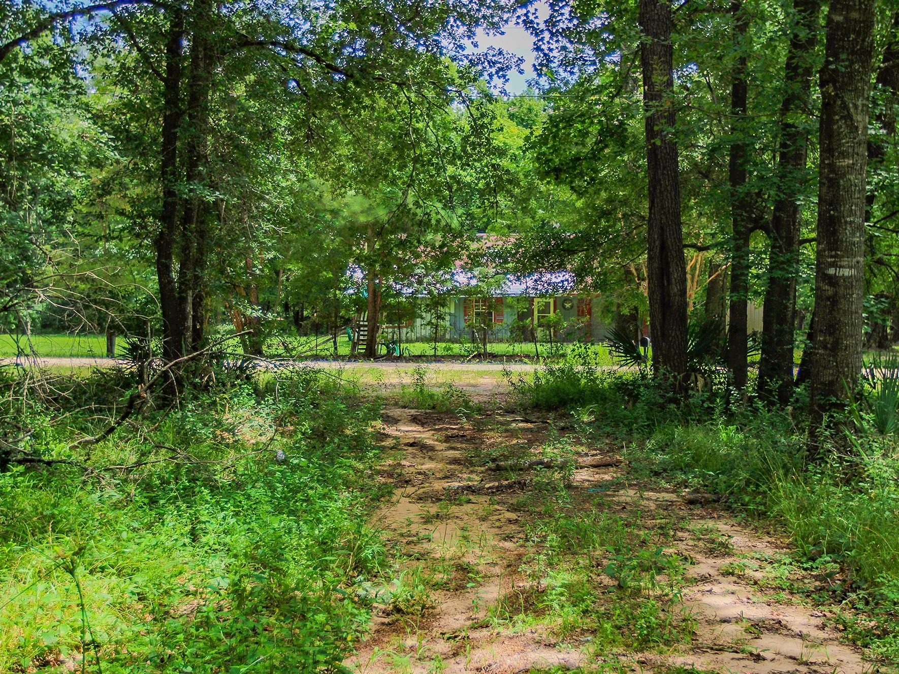 Improved Land For Sale in Walker County , 105 Gourd Creek Drive, Huntsville, Texas 77340, 0, 0, Garage spaces, 0 Sqft, built in 0, mls#21330088, Real Estate Agent in Huntsville, Homes For Sale in Walker county, Homes For Sale in Huntsville, Realtor in Huntsville Texas, Real Estate Brokerage Independent Realty Texas, Luminita Cordes Realtor