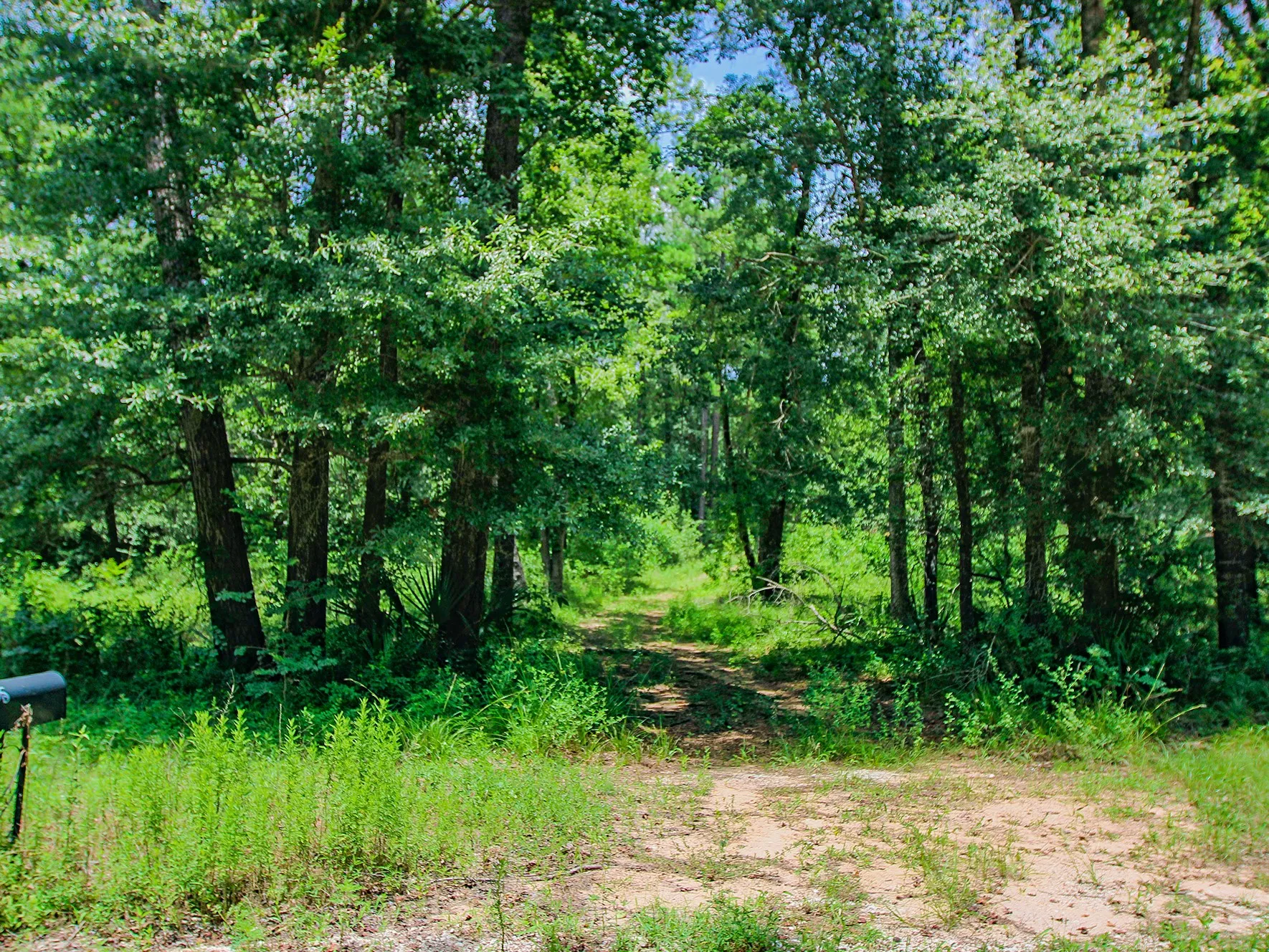 Improved Land For Sale in Walker County , 105 Gourd Creek Drive, Huntsville, Texas 77340, 0, 0, Garage spaces, 0 Sqft, built in 0, mls#21330088, Real Estate Agent in Huntsville, Homes For Sale in Walker county, Homes For Sale in Huntsville, Realtor in Huntsville Texas, Real Estate Brokerage Independent Realty Texas, Luminita Cordes Realtor