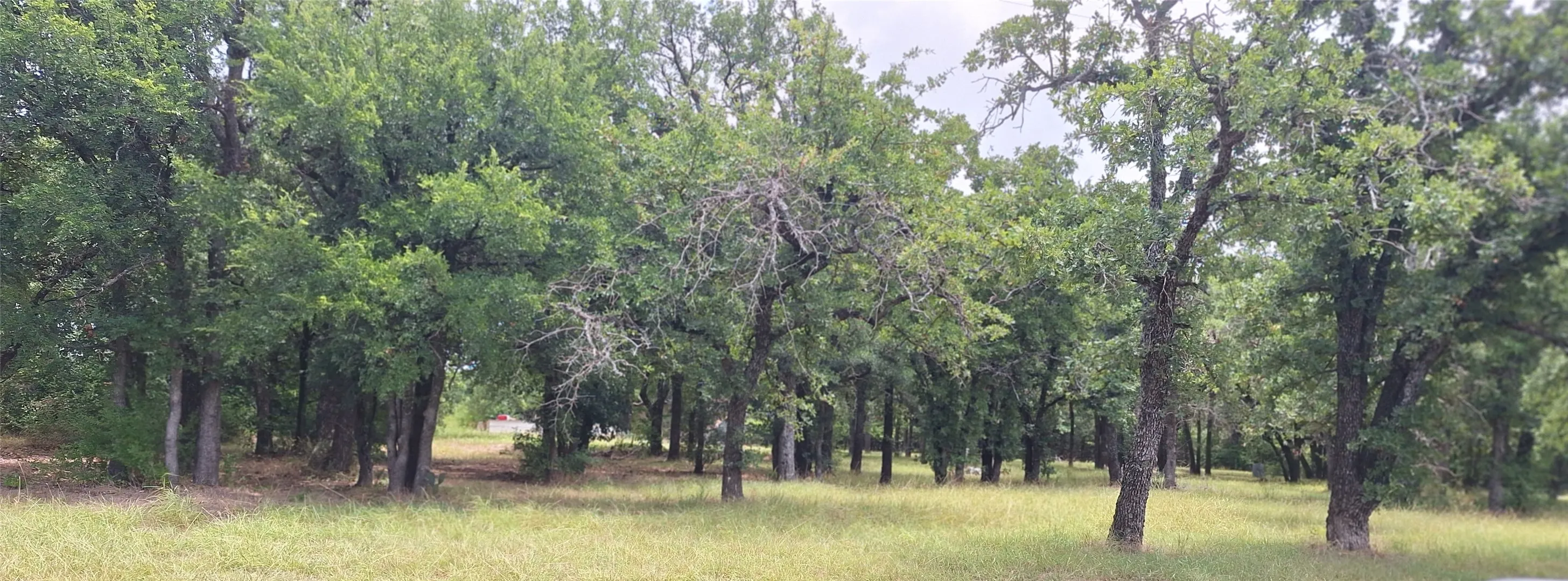 view from road
